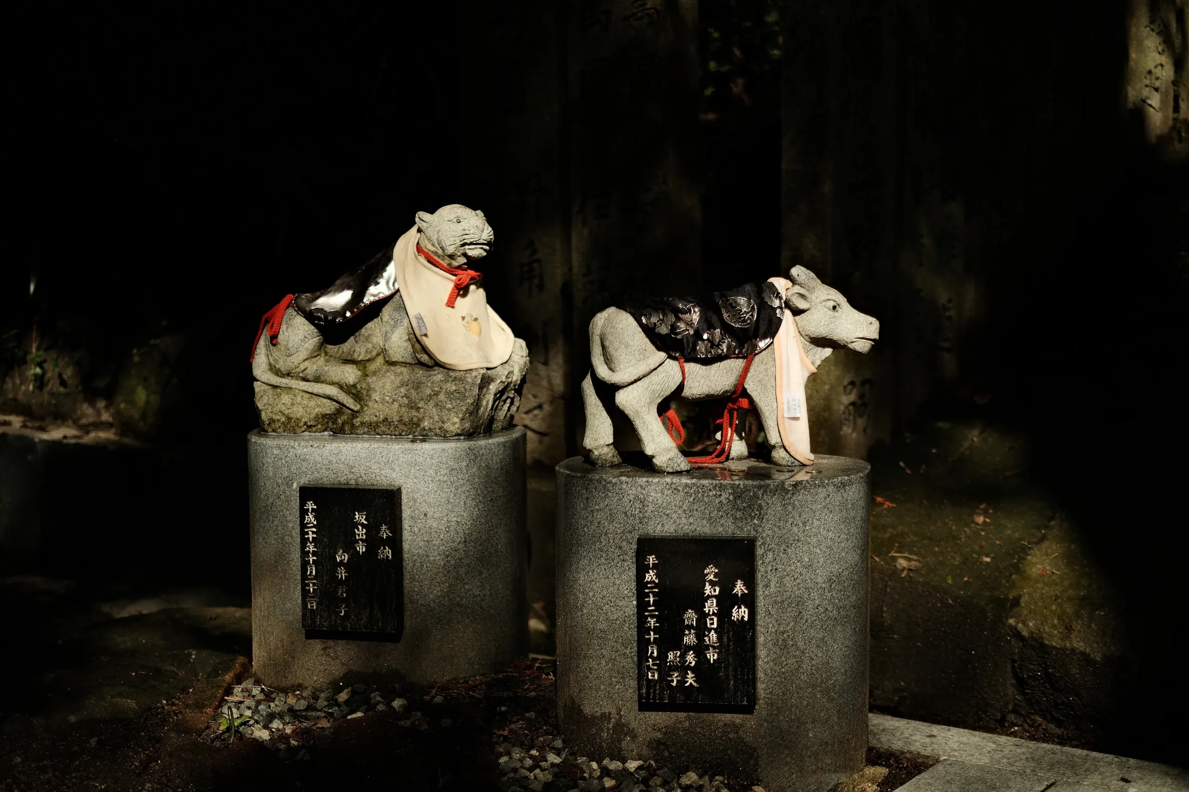 japan-2024, frame 365