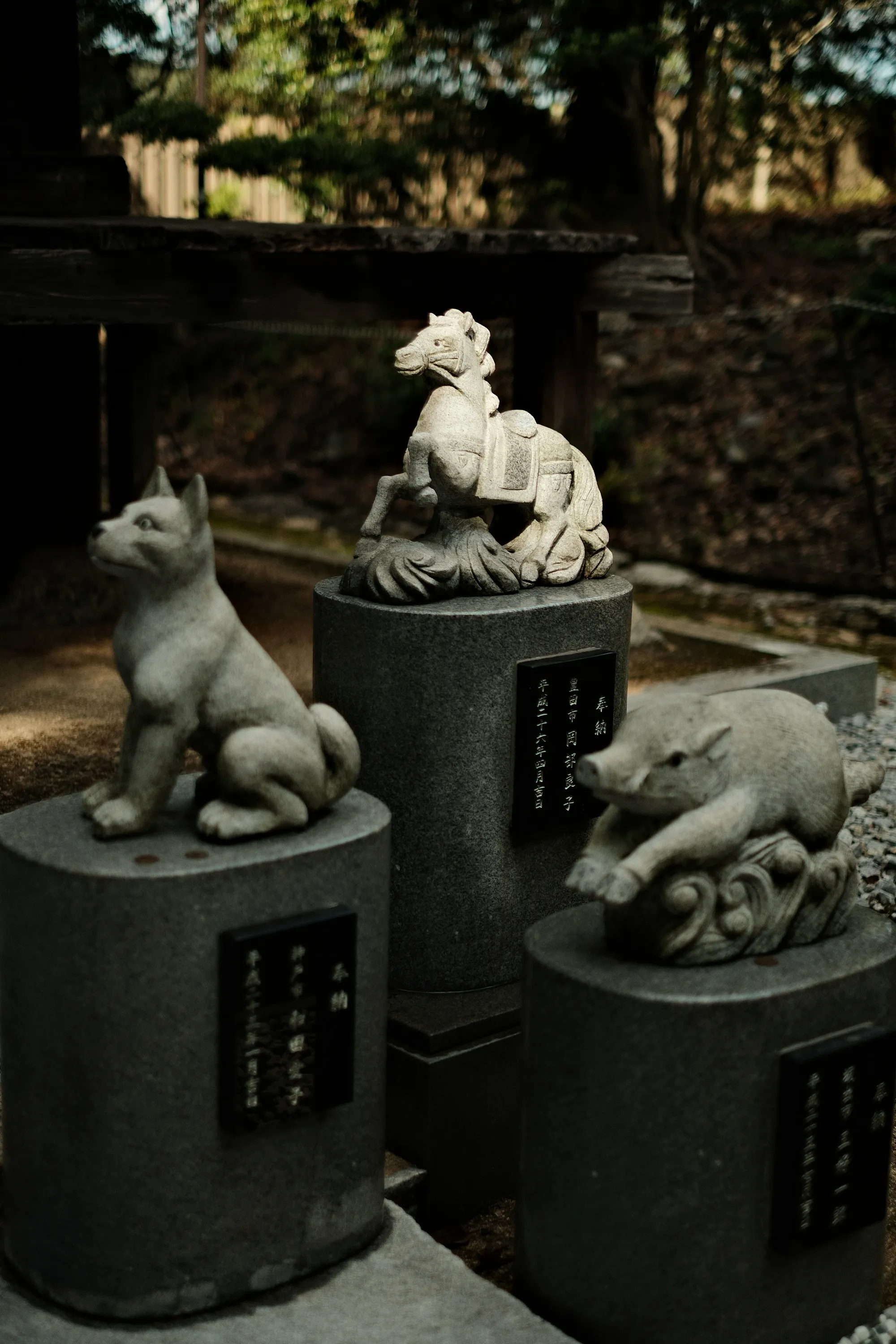 japan-2024, frame 366