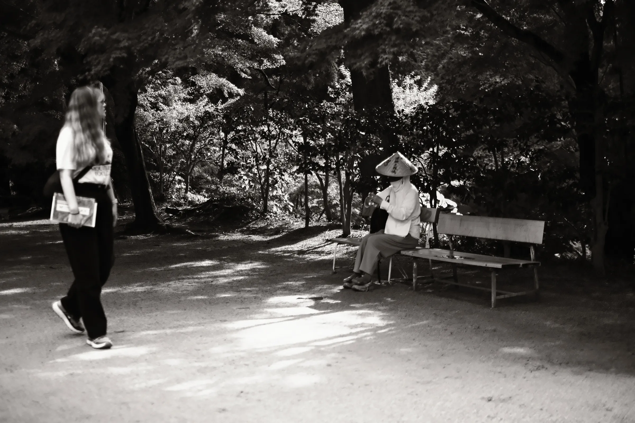 japan-2024, frame 367