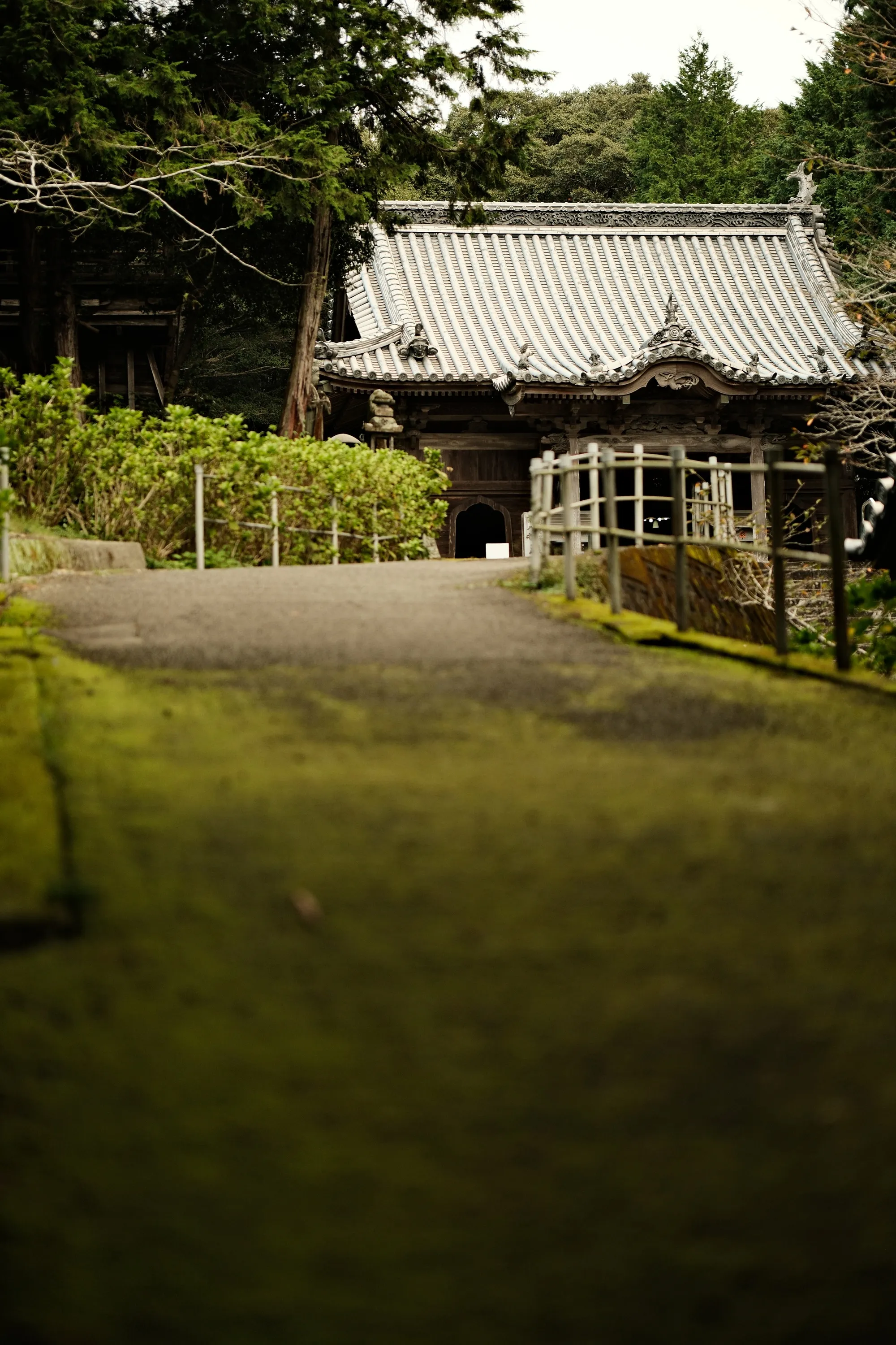 japan-2024, frame 375
