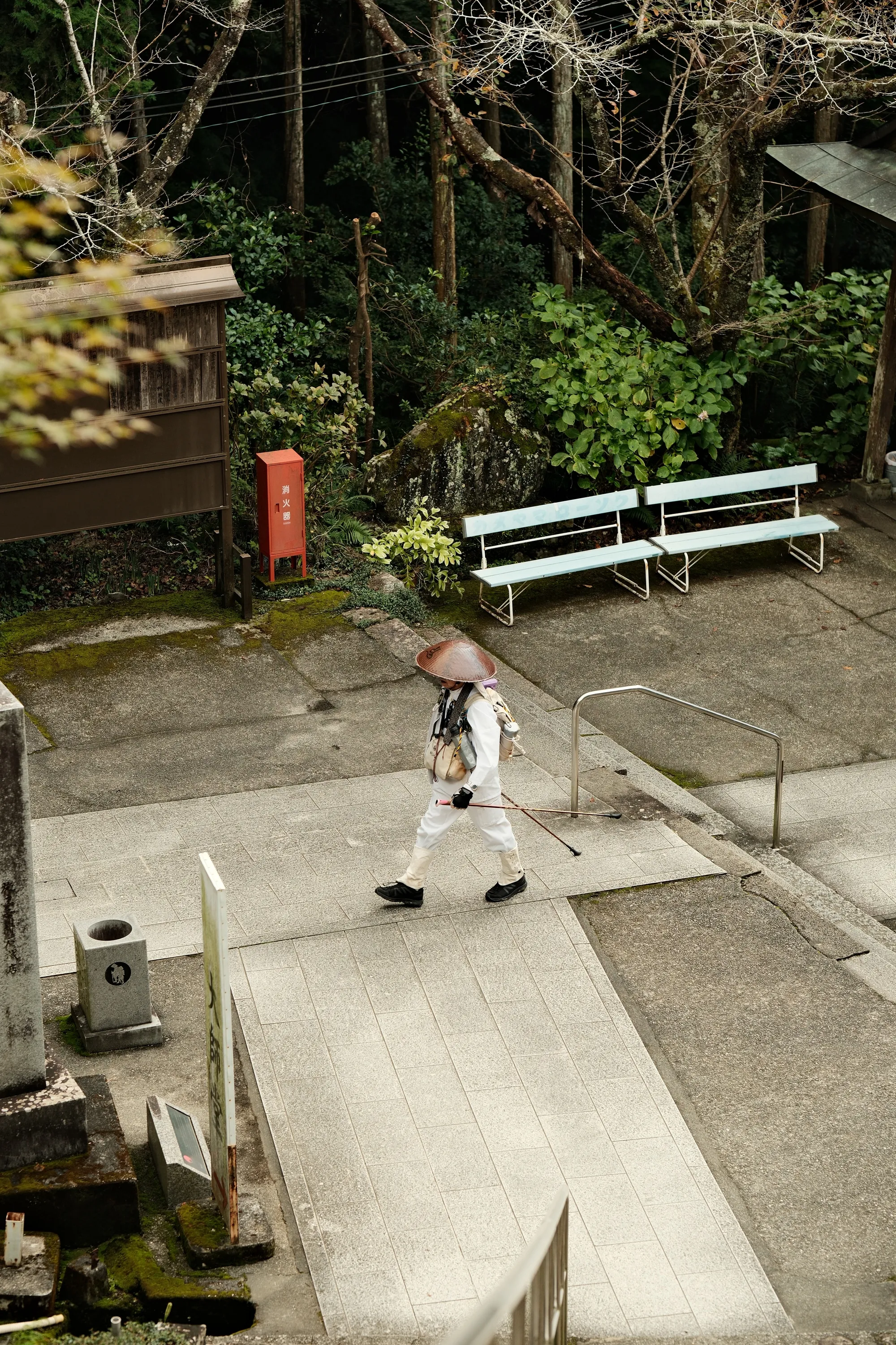 japan-2024, frame 377