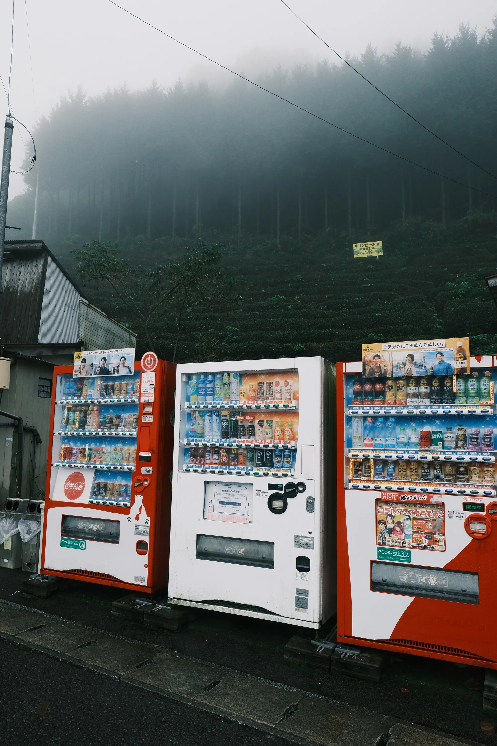 japan-2024, frame 385