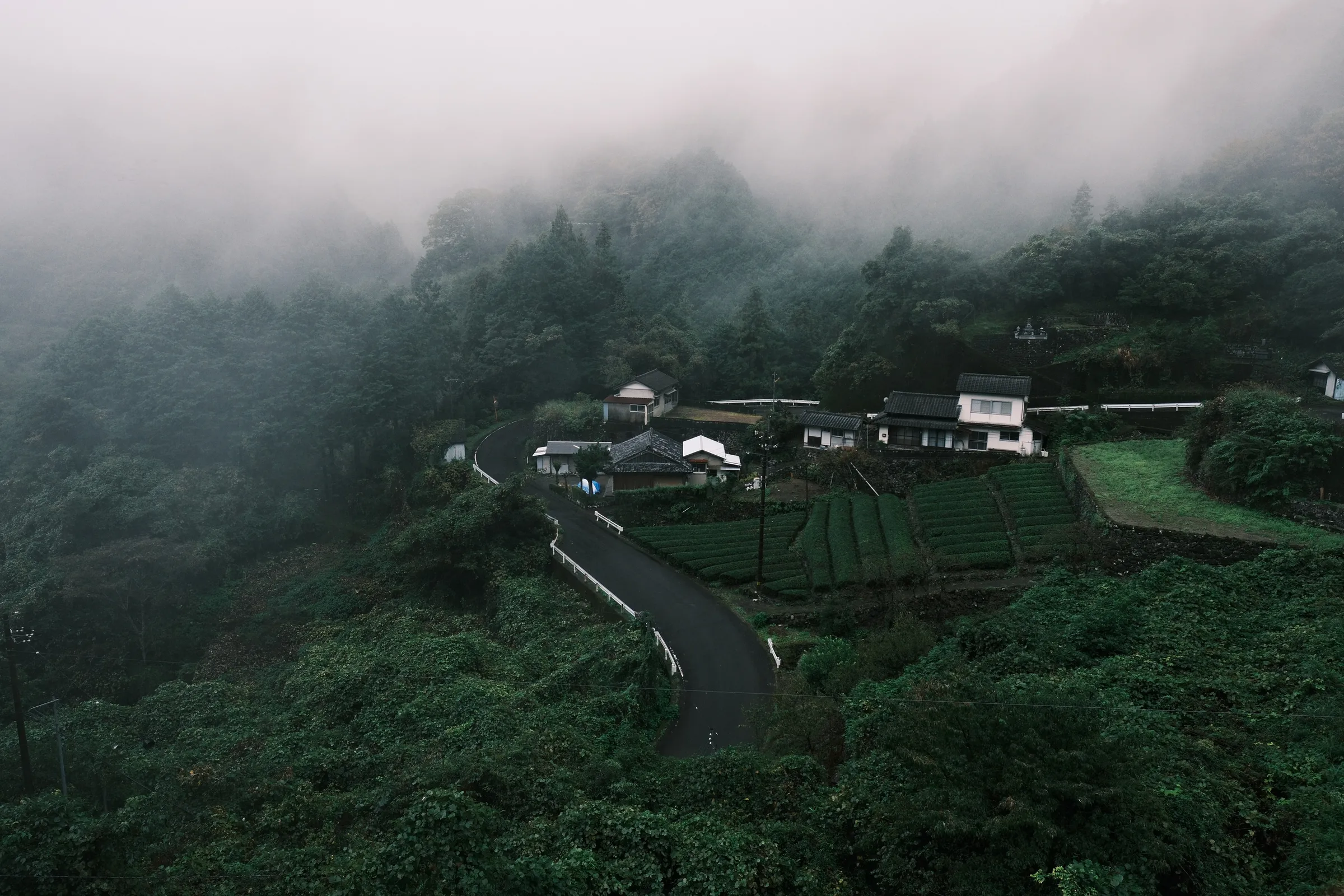 japan-2024, frame 387