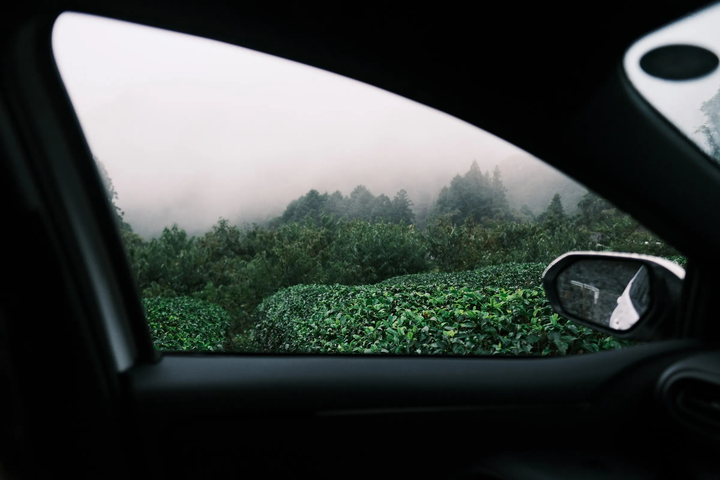 japan-2024, frame 388