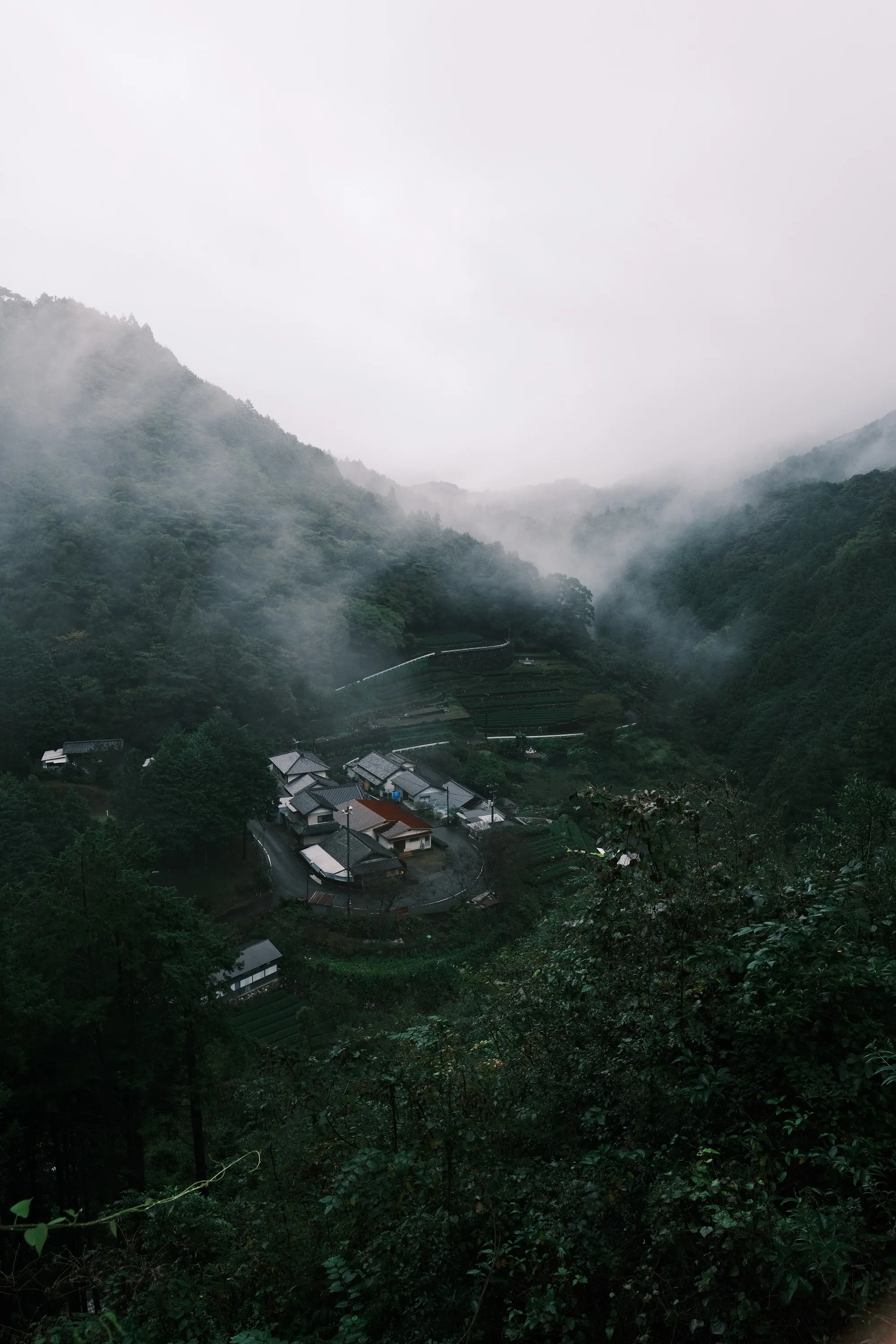 japan-2024, frame 389
