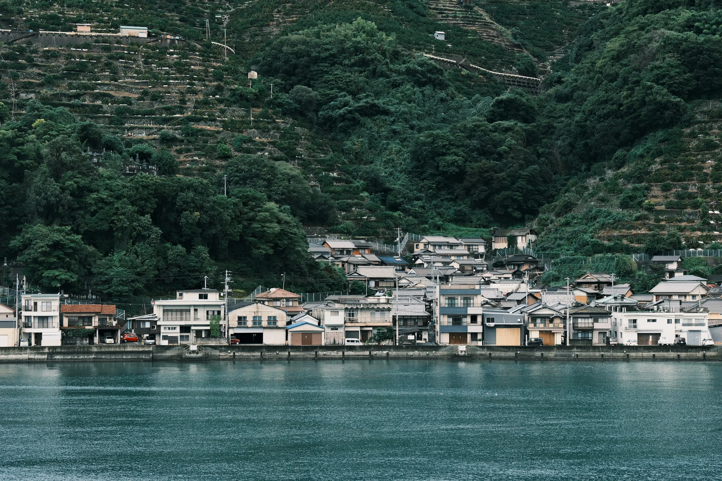 japan-2024, frame 397