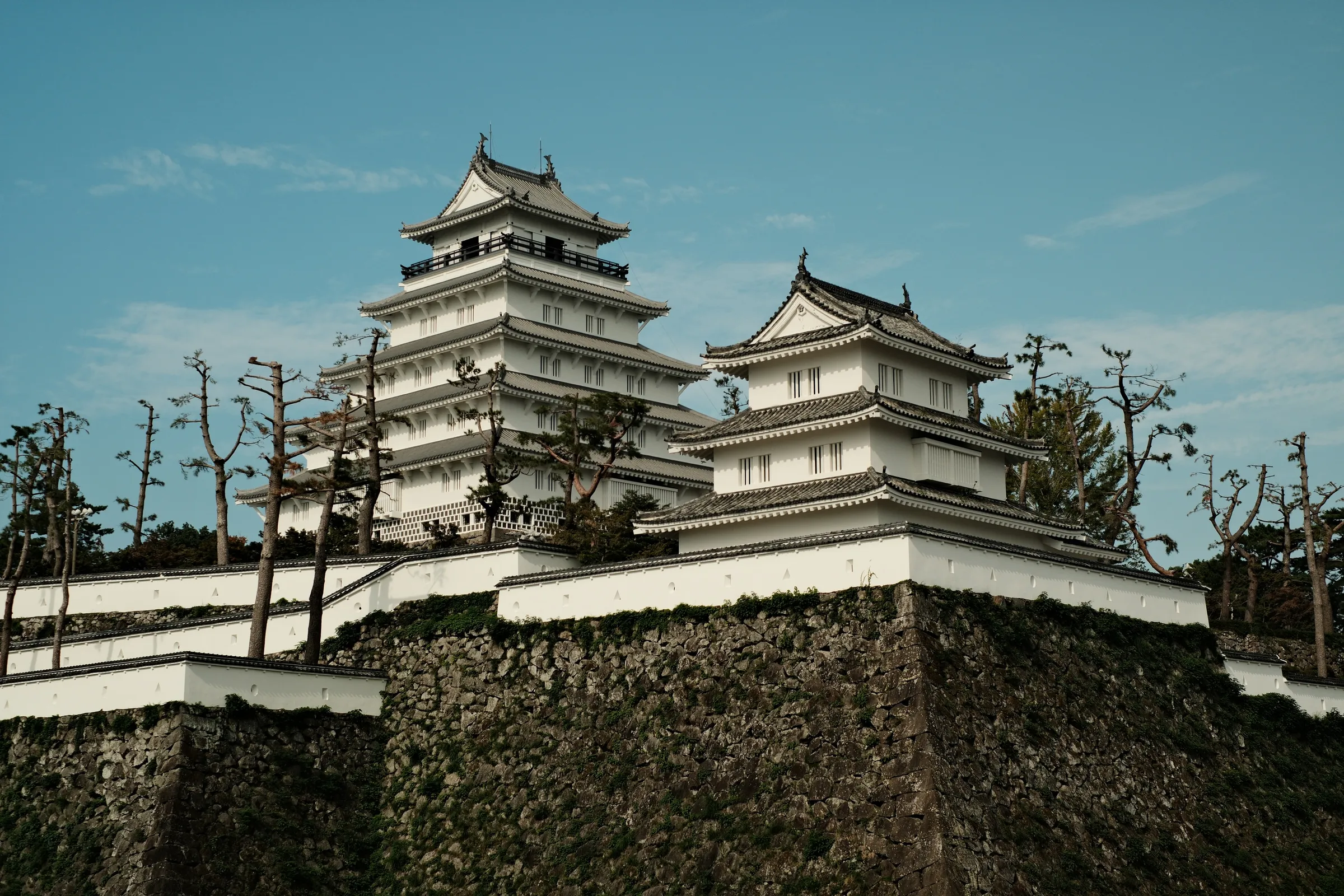 japan-2024, frame 490