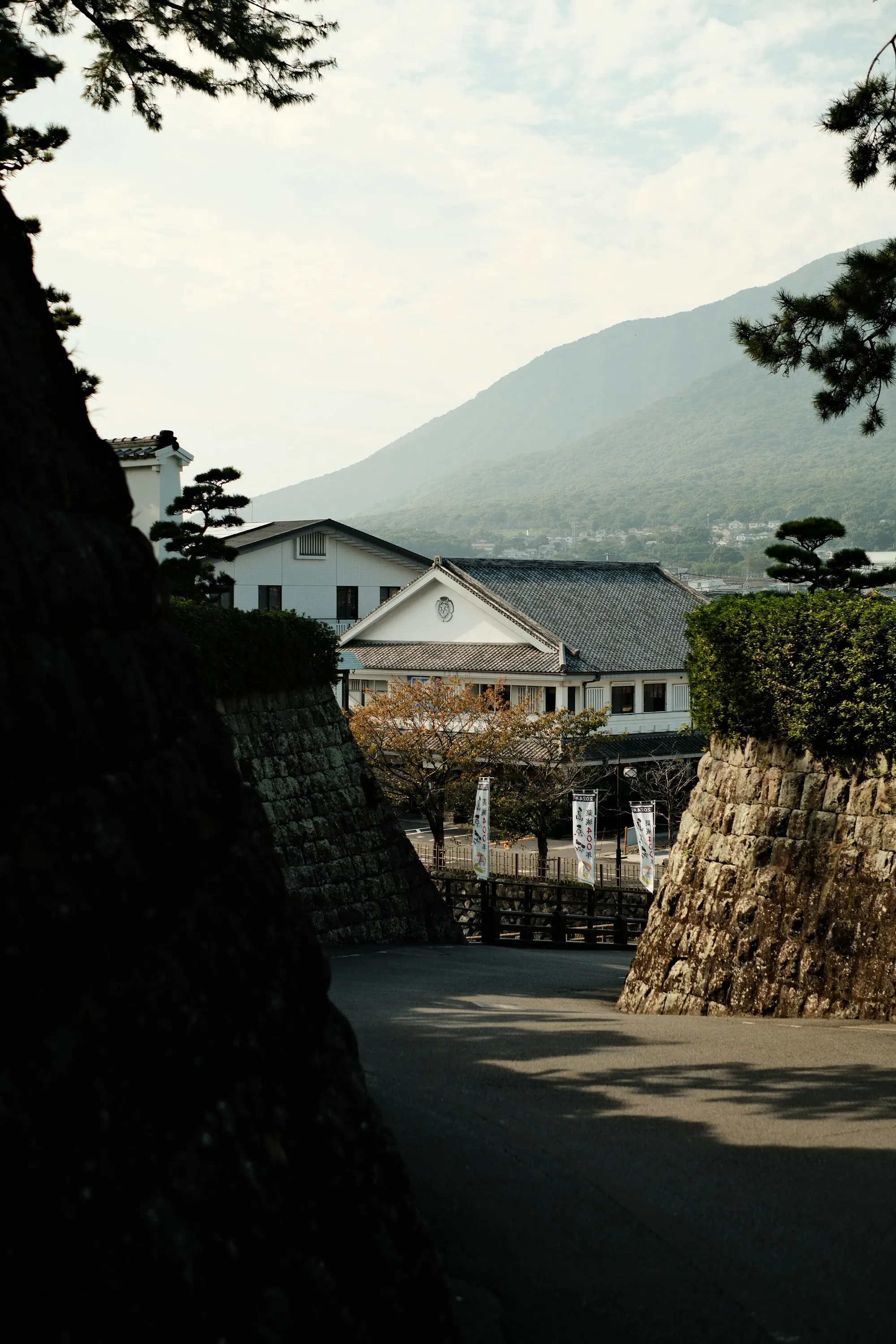japan-2024, frame 491