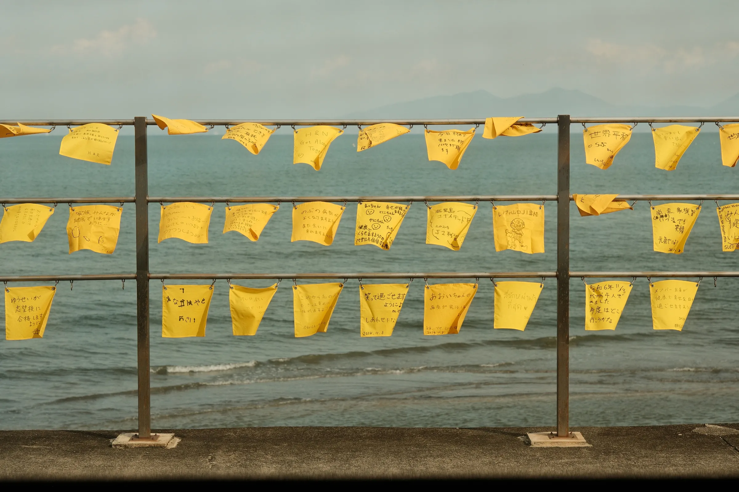 japan-2024, frame 498