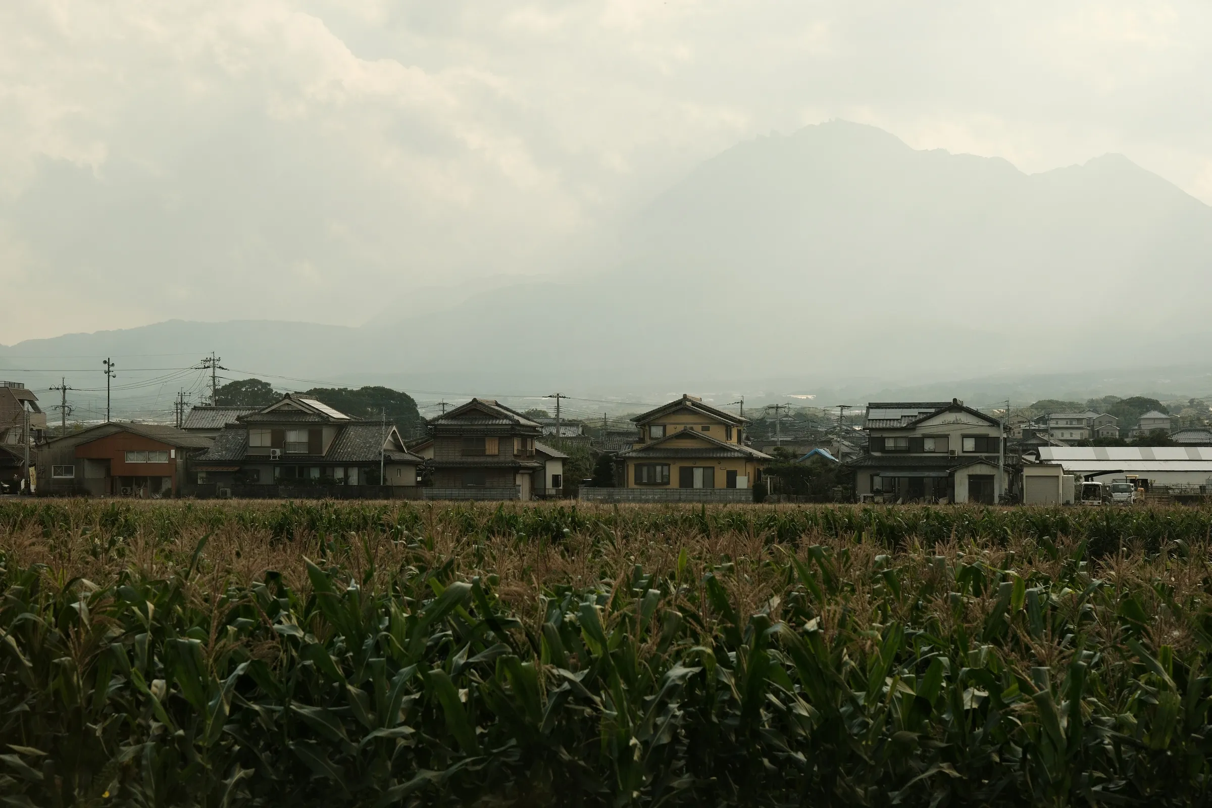 japan-2024, frame 499