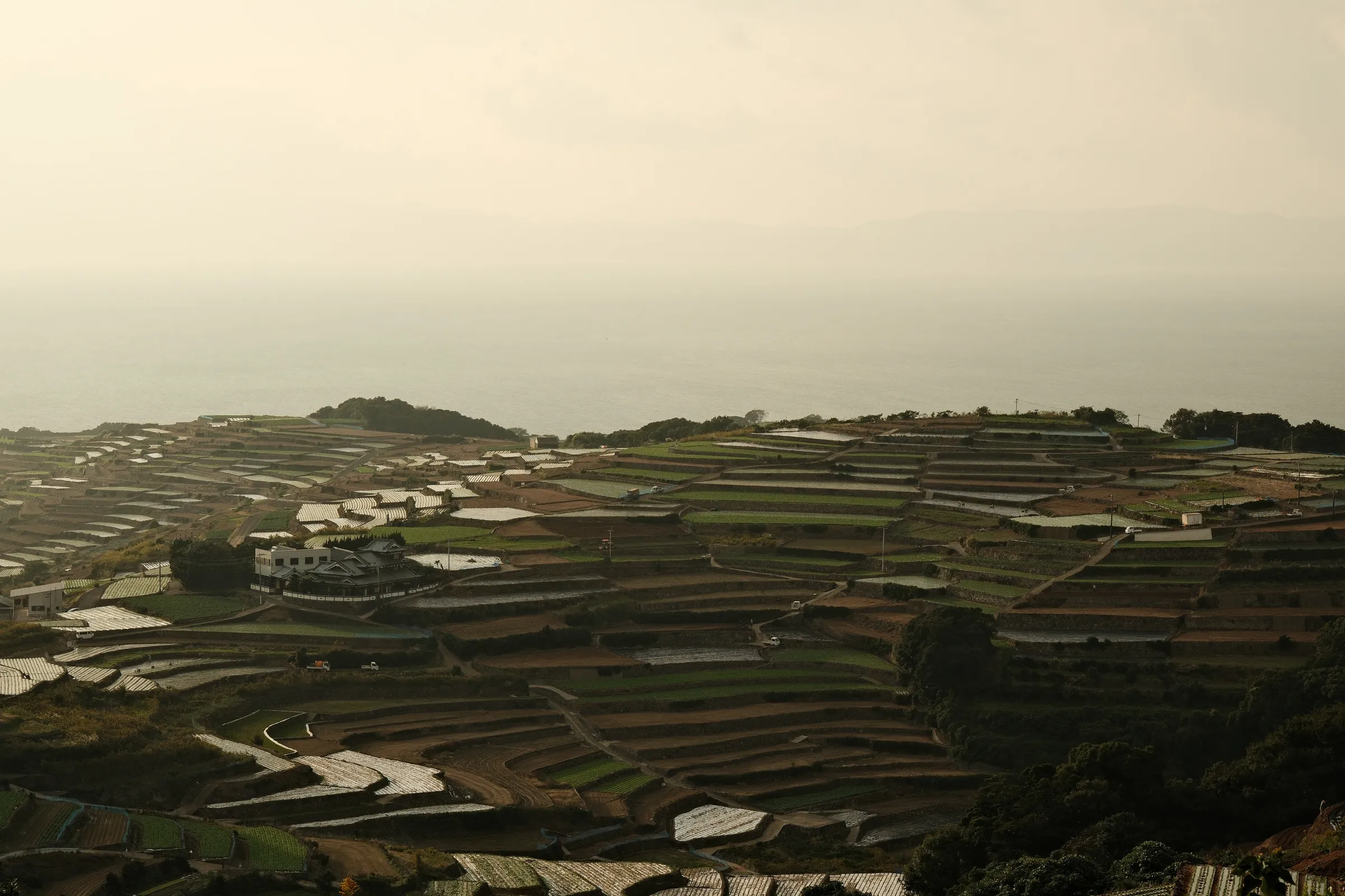 japan-2024, frame 500