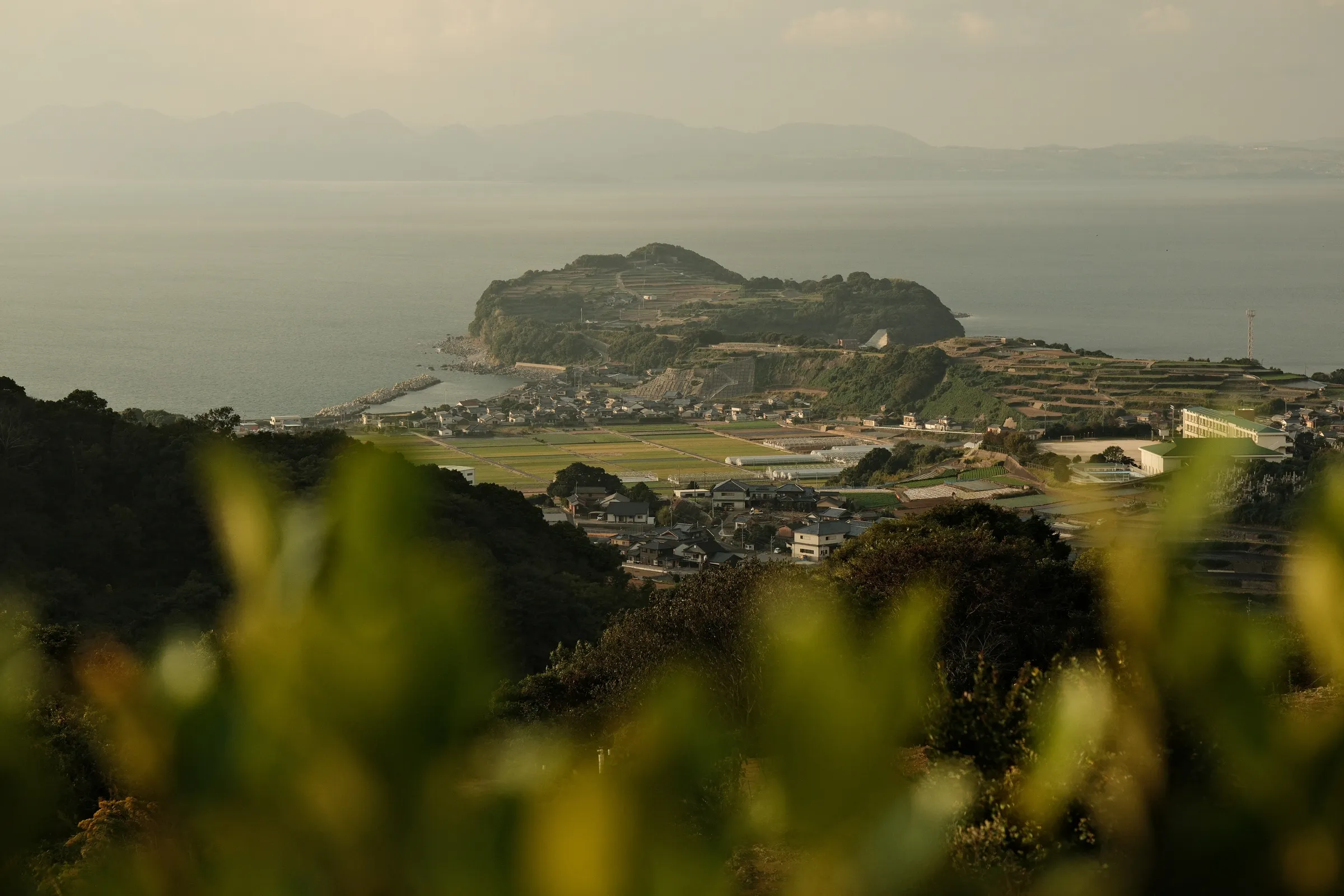 japan-2024, frame 502