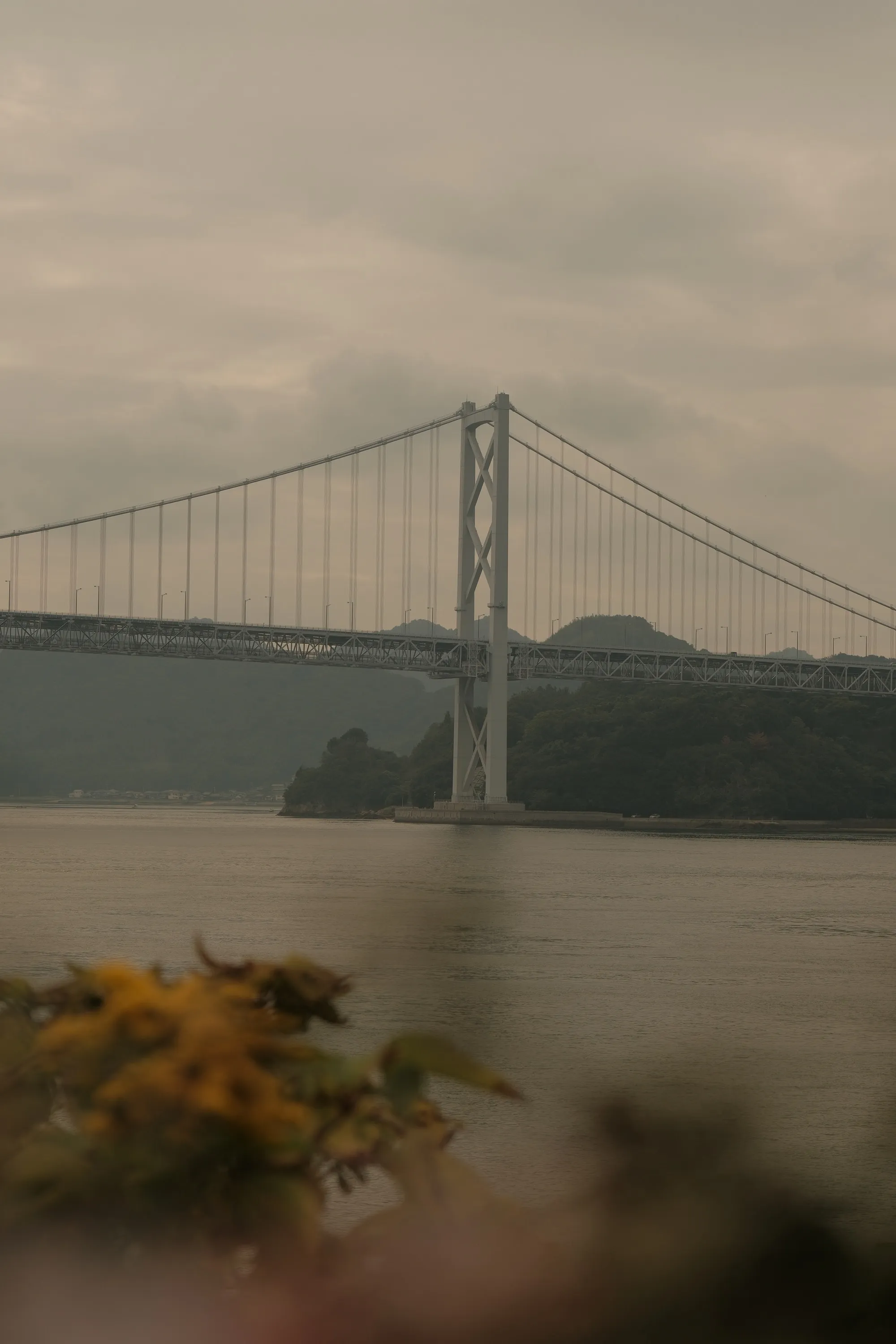 japan-2024, frame 316