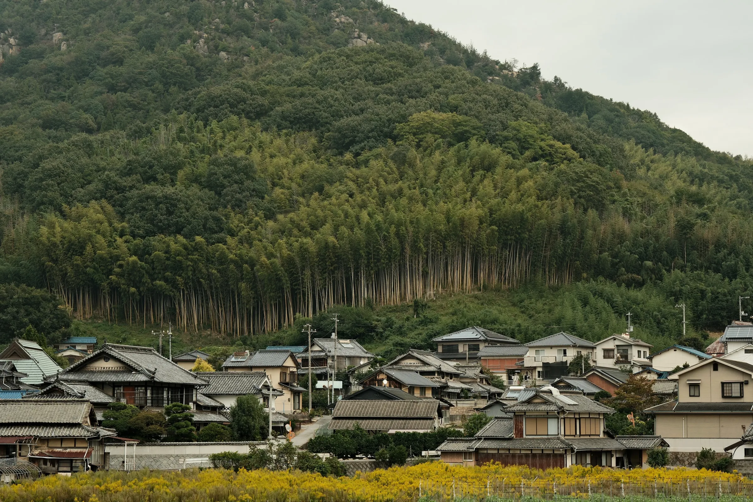 japan-2024, frame 321