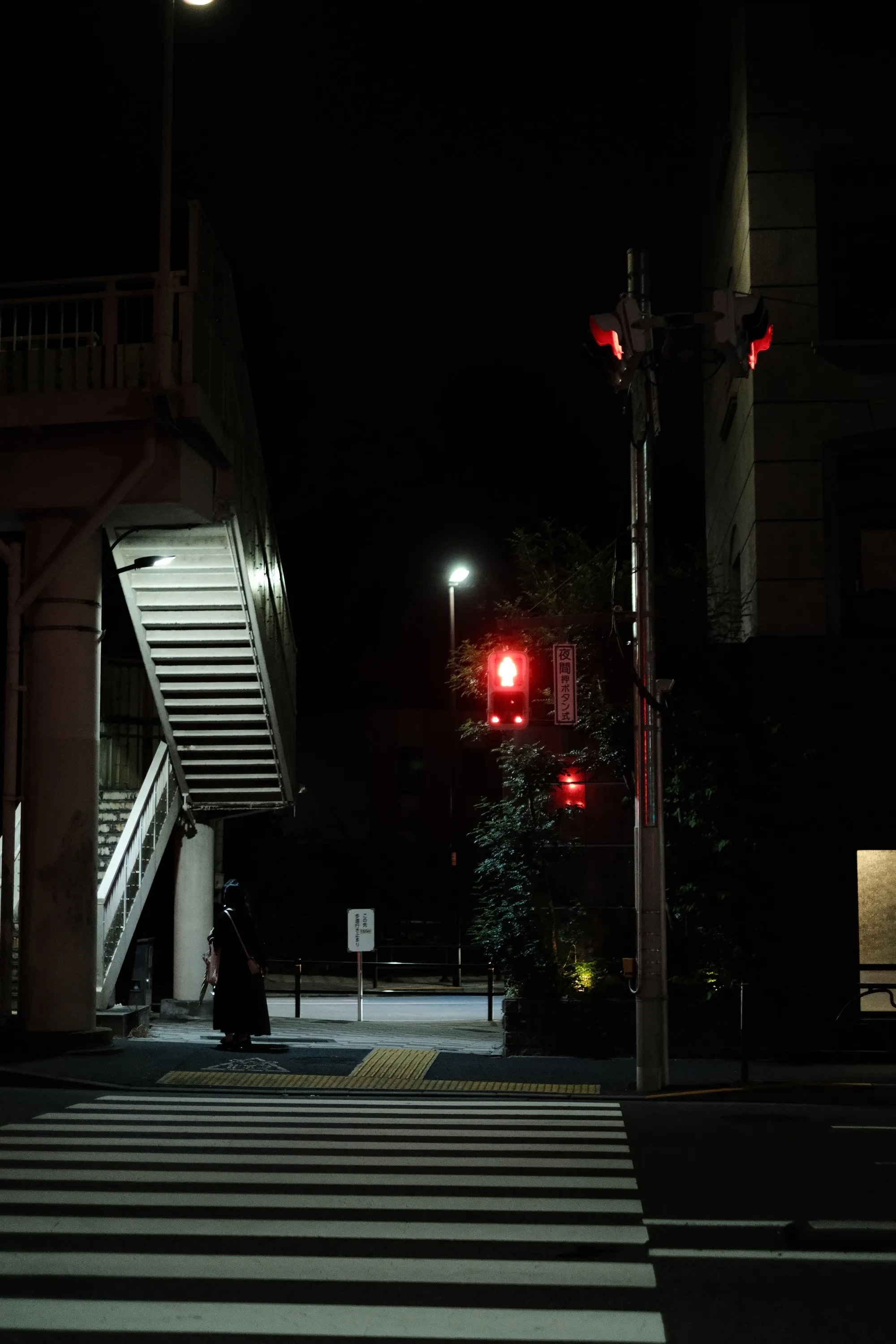 japan-2024, frame 2