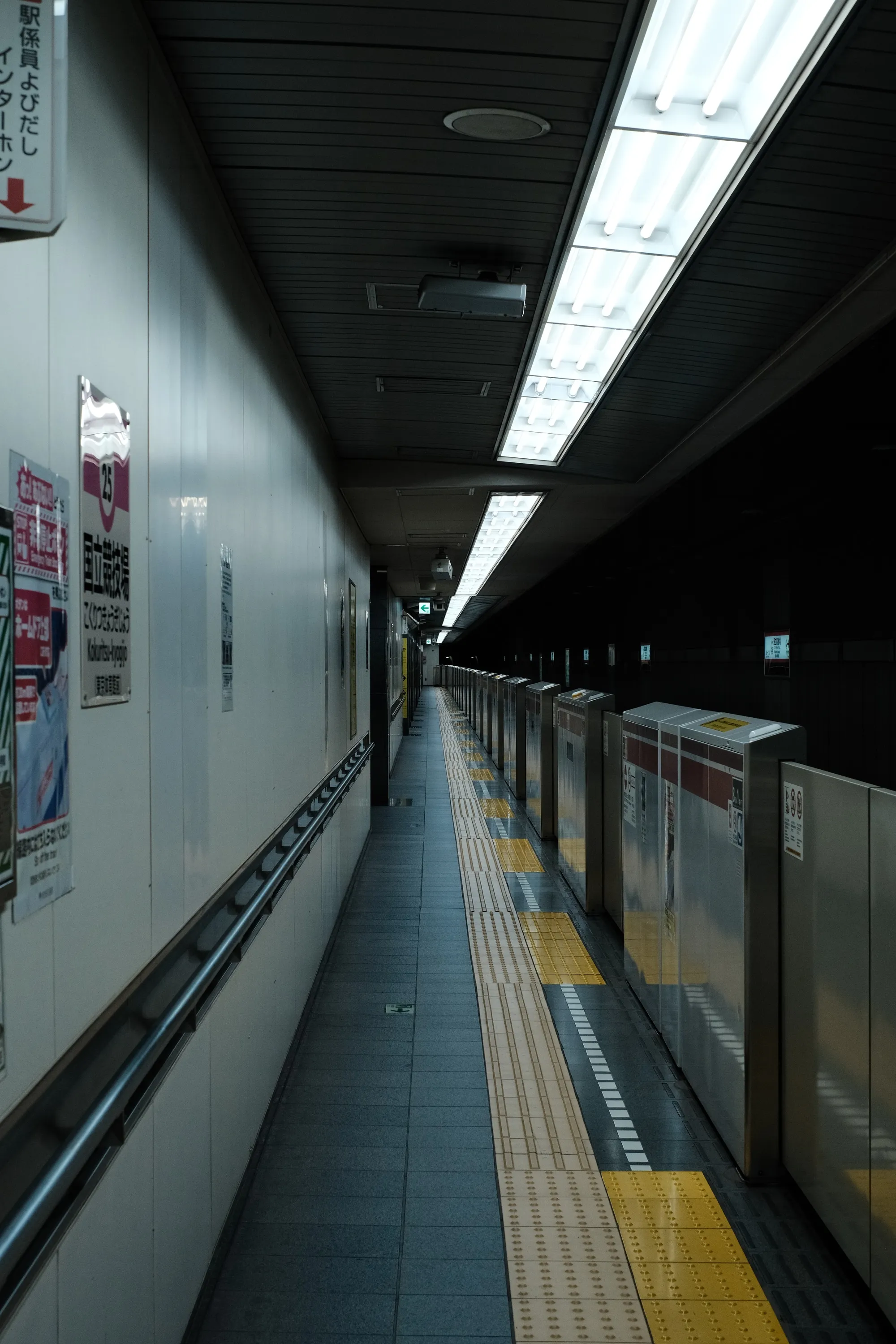 japan-2024, frame 5