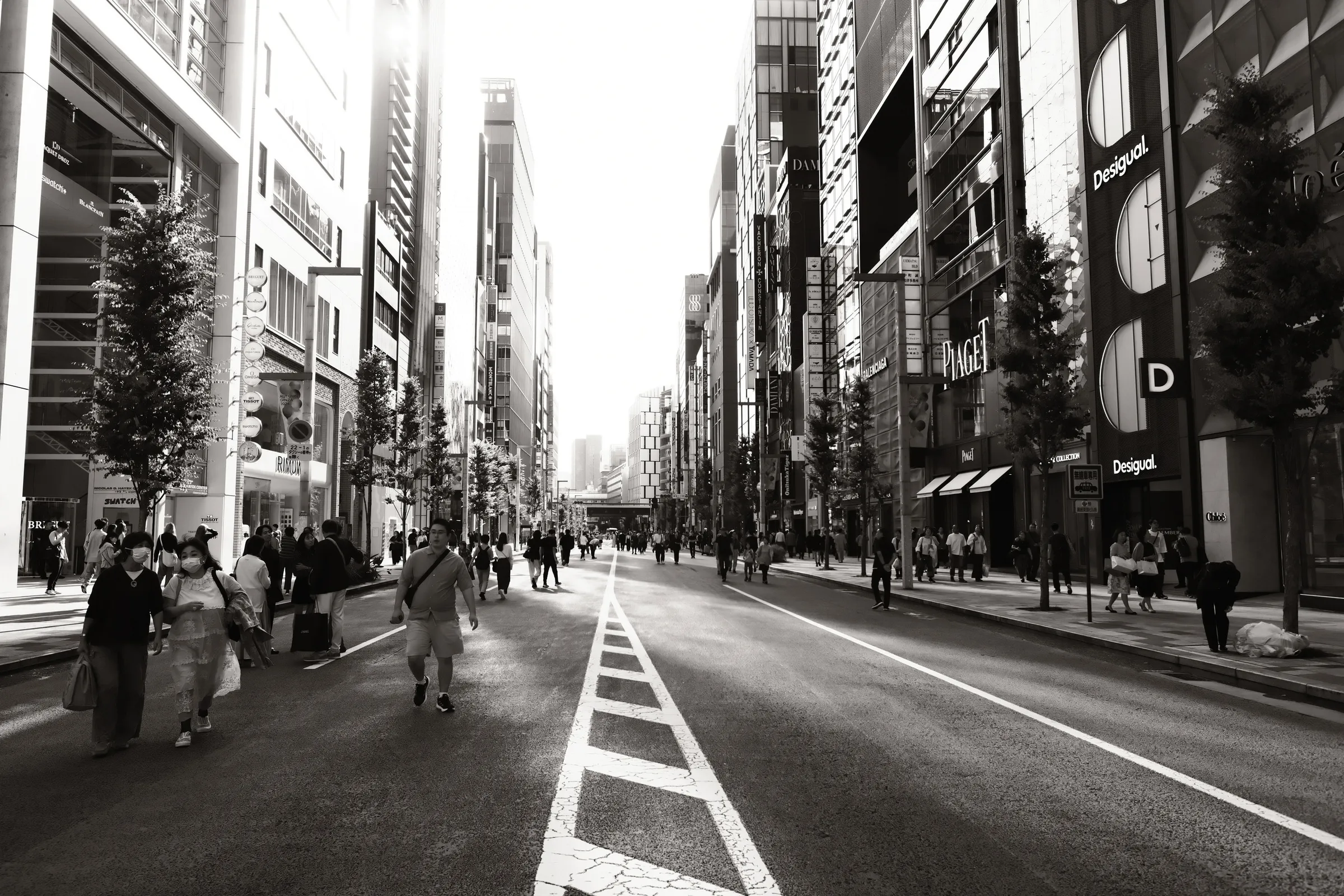 japan-2024, frame 19