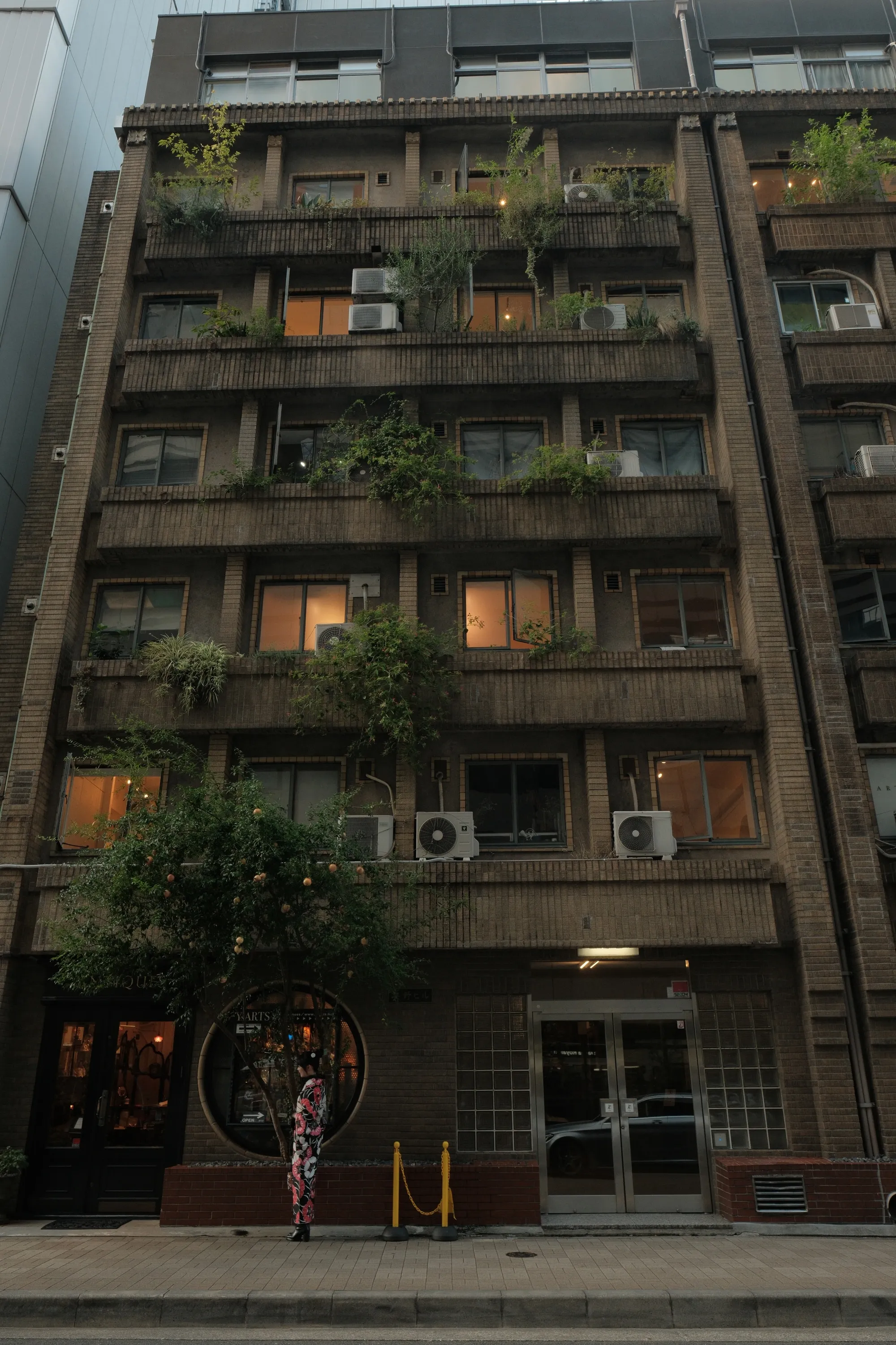 japan-2024, frame 24