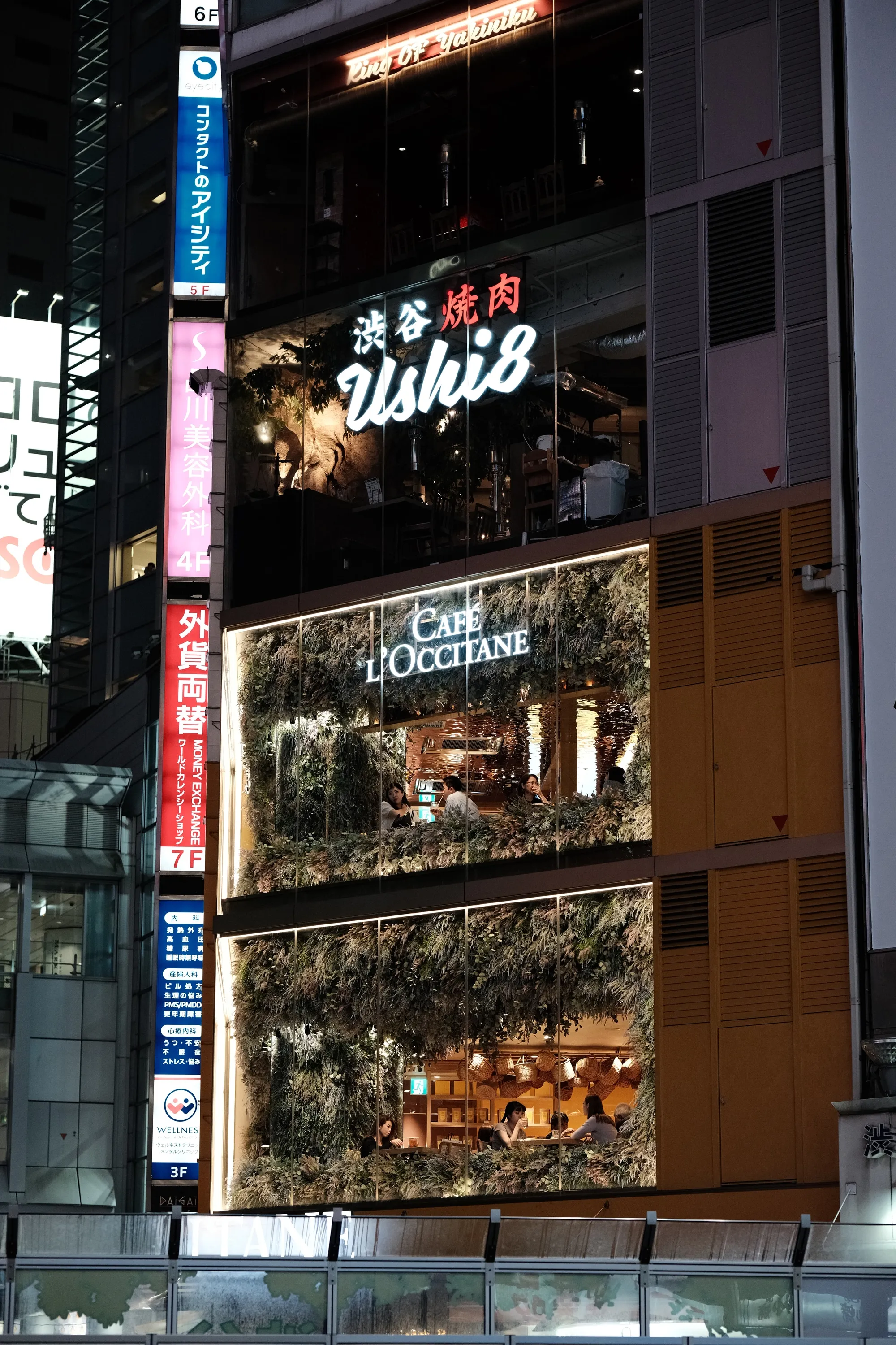 japan-2024, frame 31
