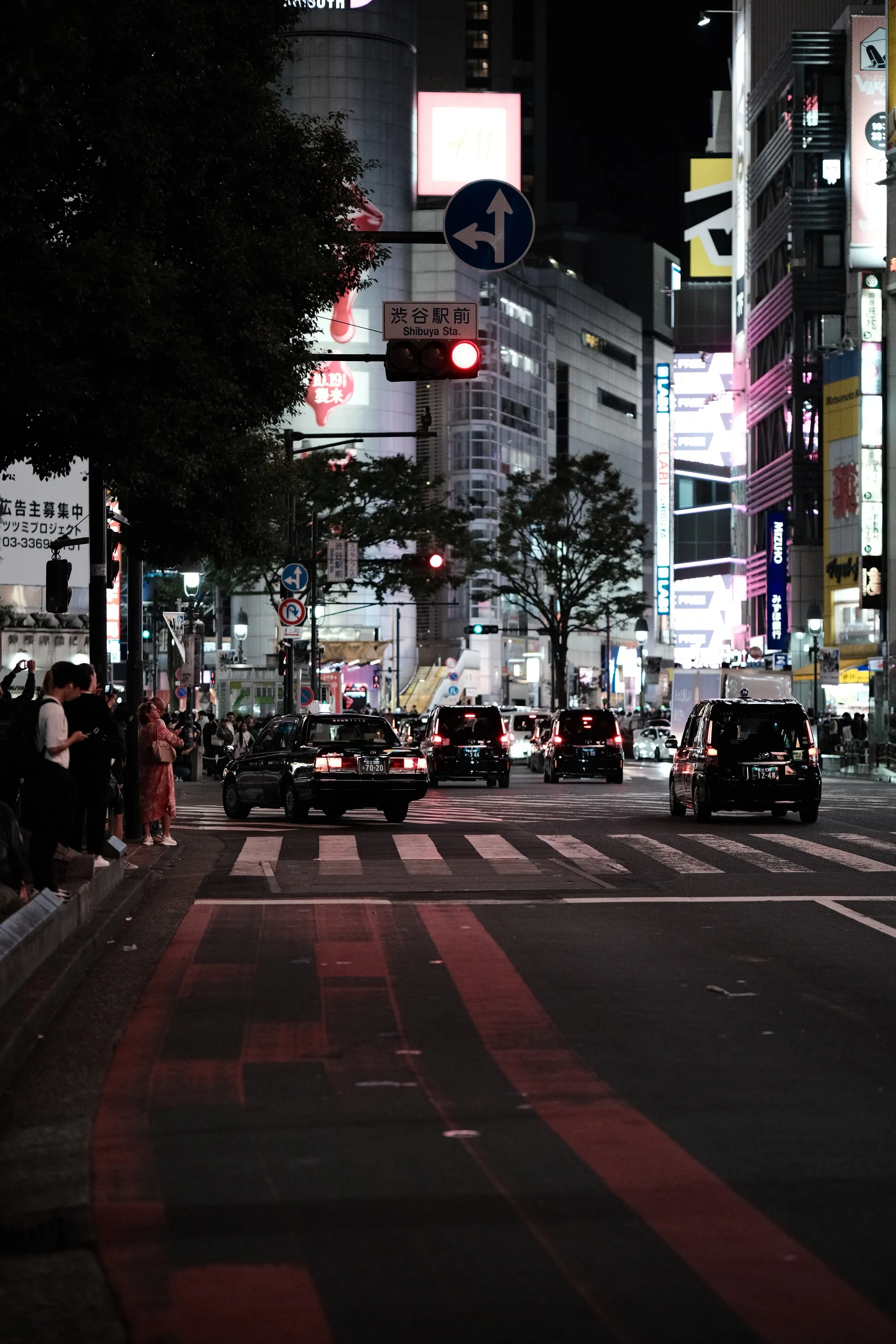 japan-2024, frame 33