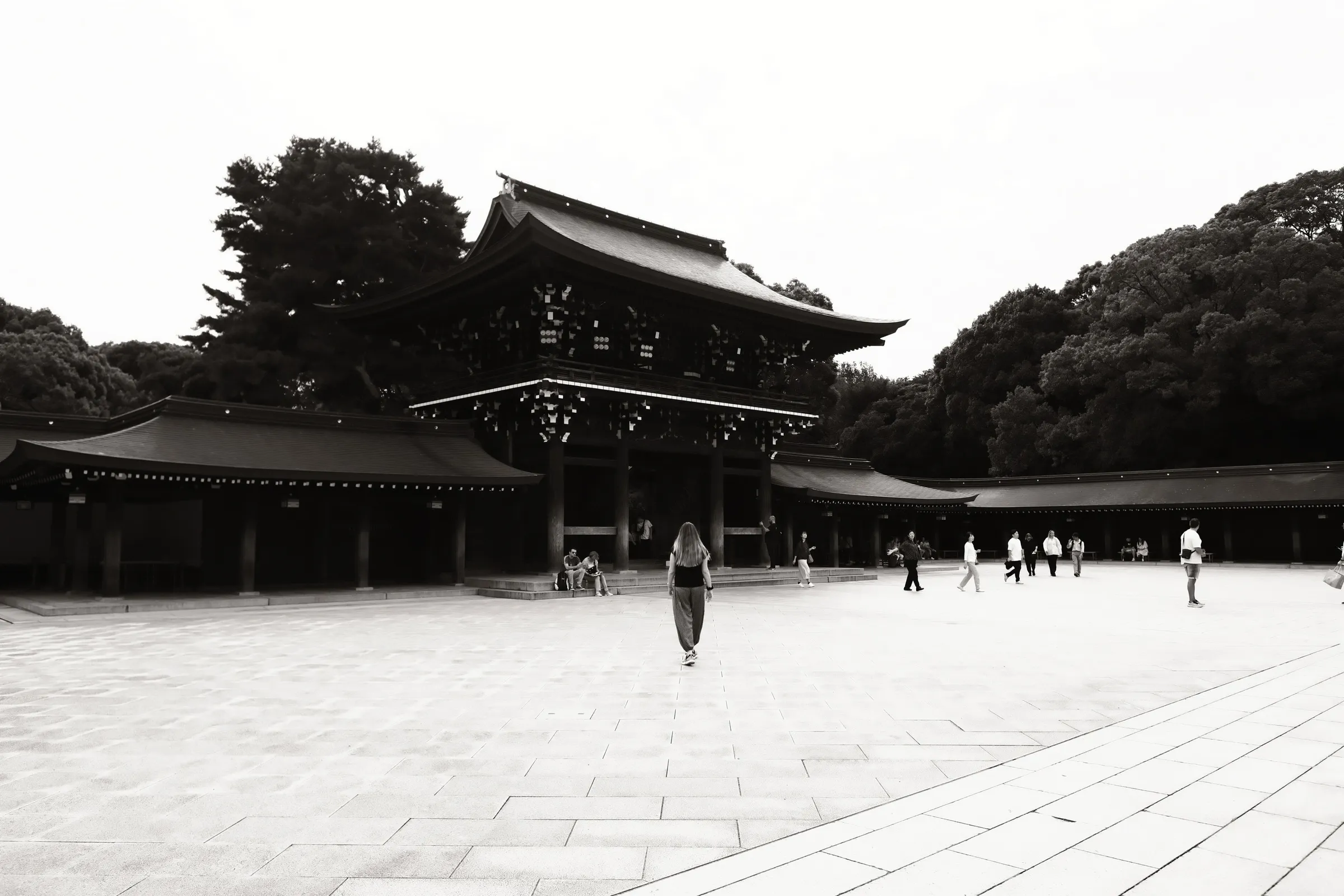 japan-2024, frame 49
