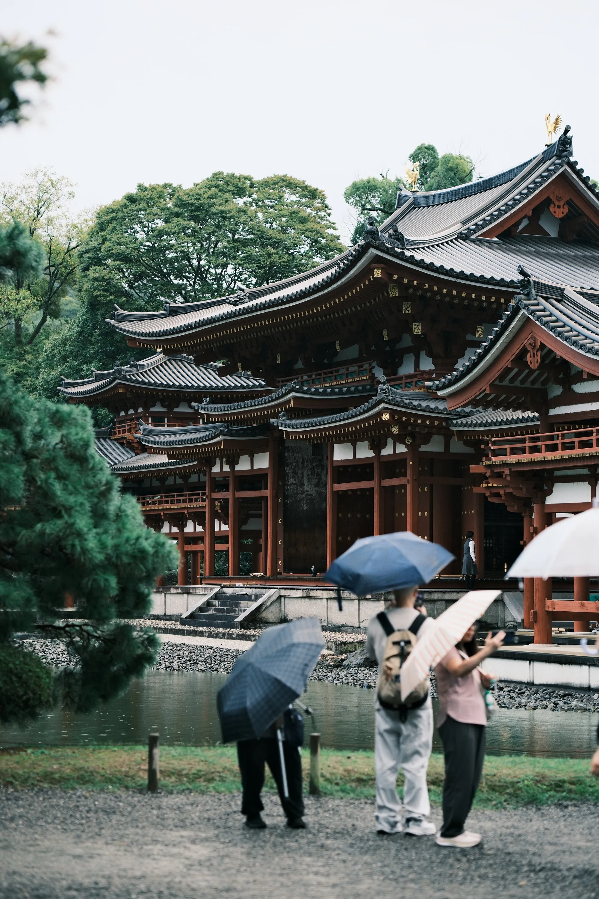 japan-2024, frame 150