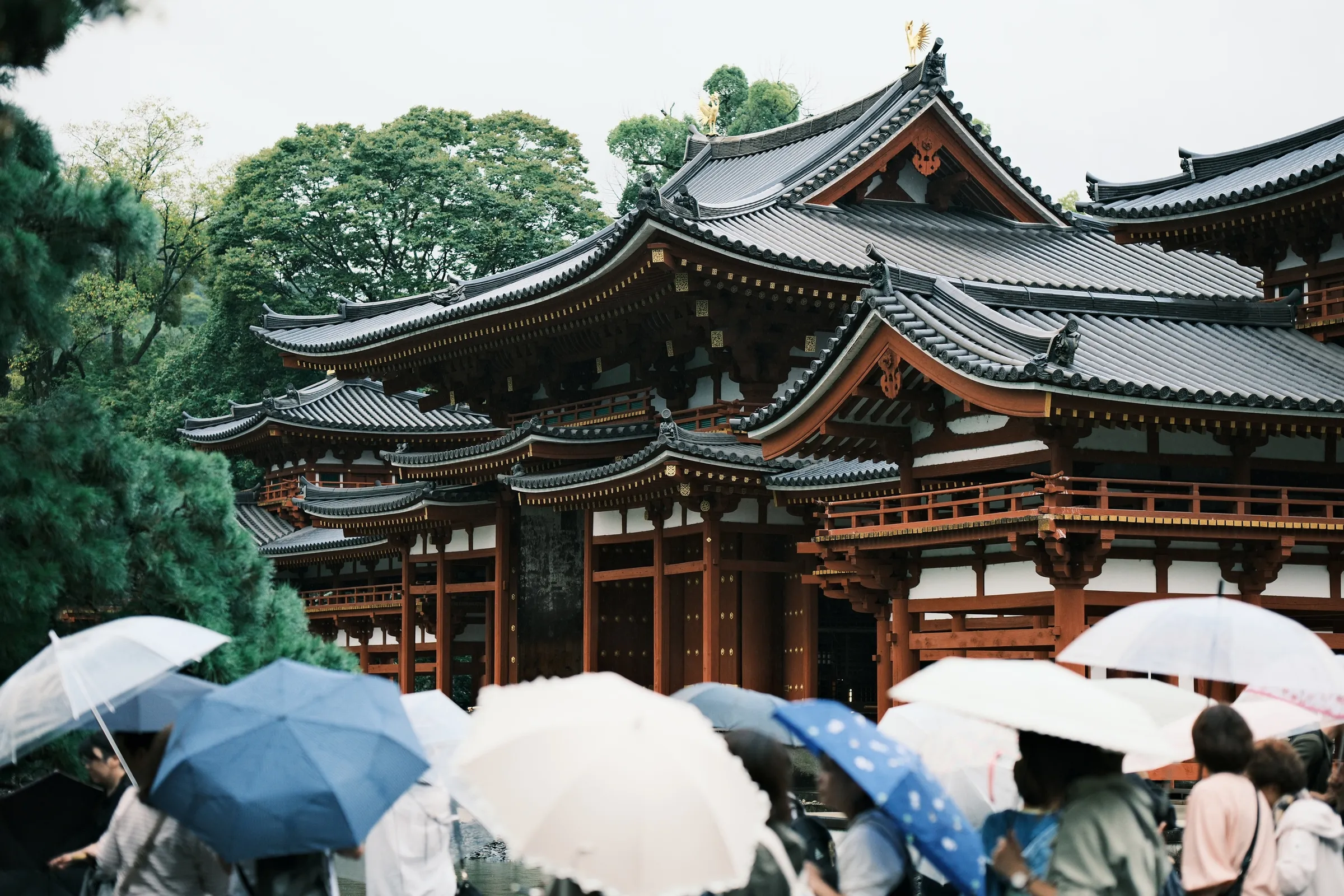 japan-2024, frame 151