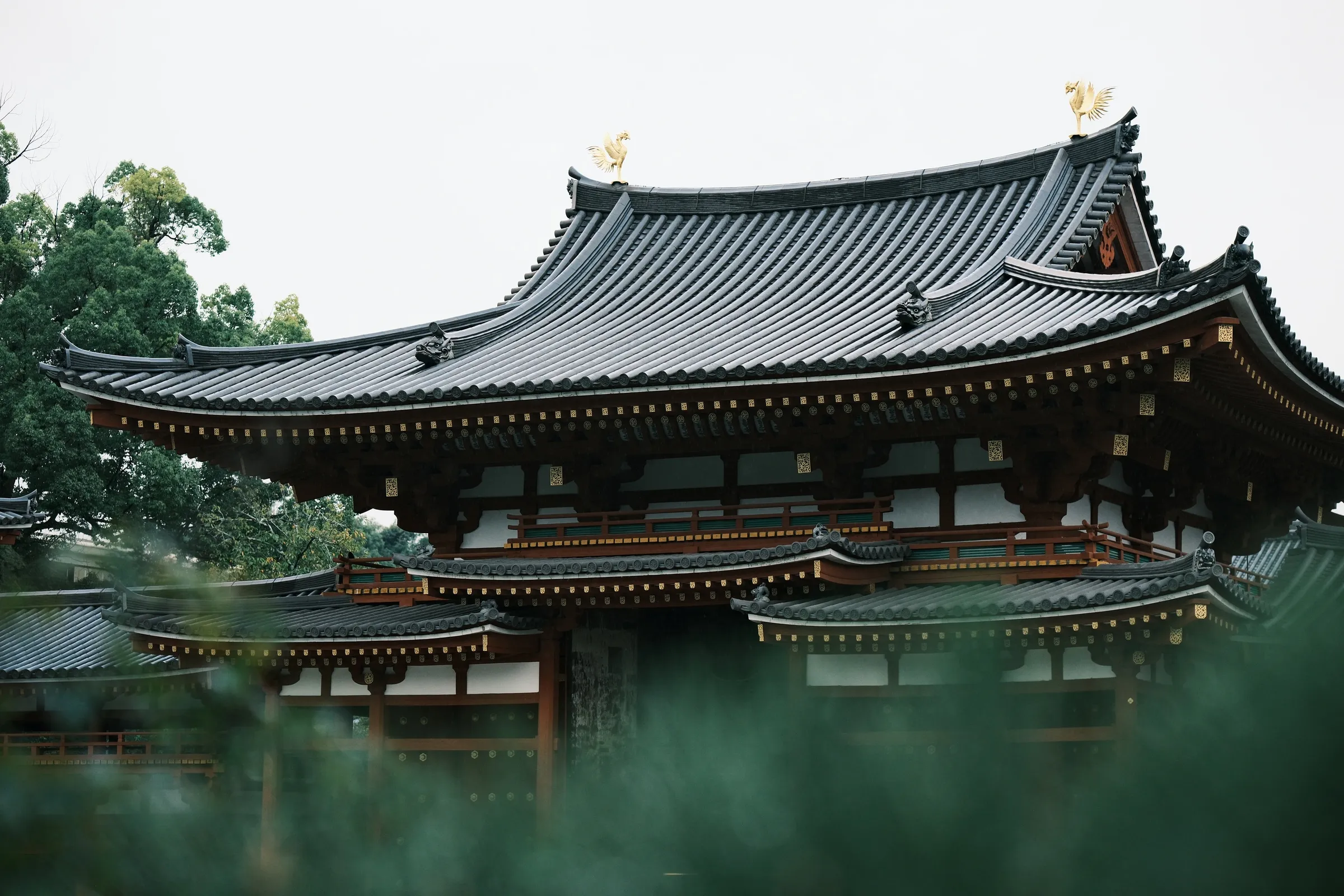 japan-2024, frame 153