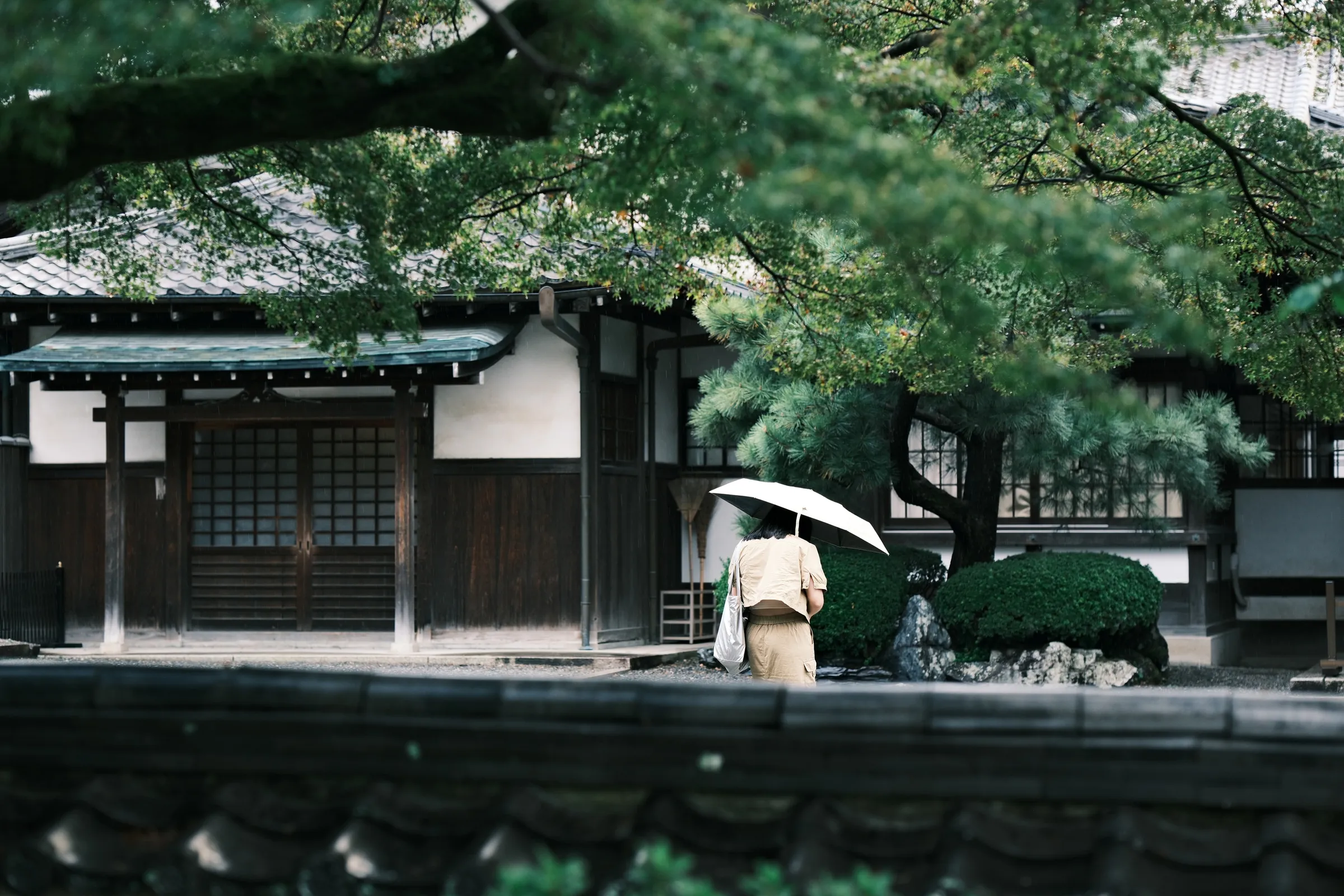 japan-2024, frame 154