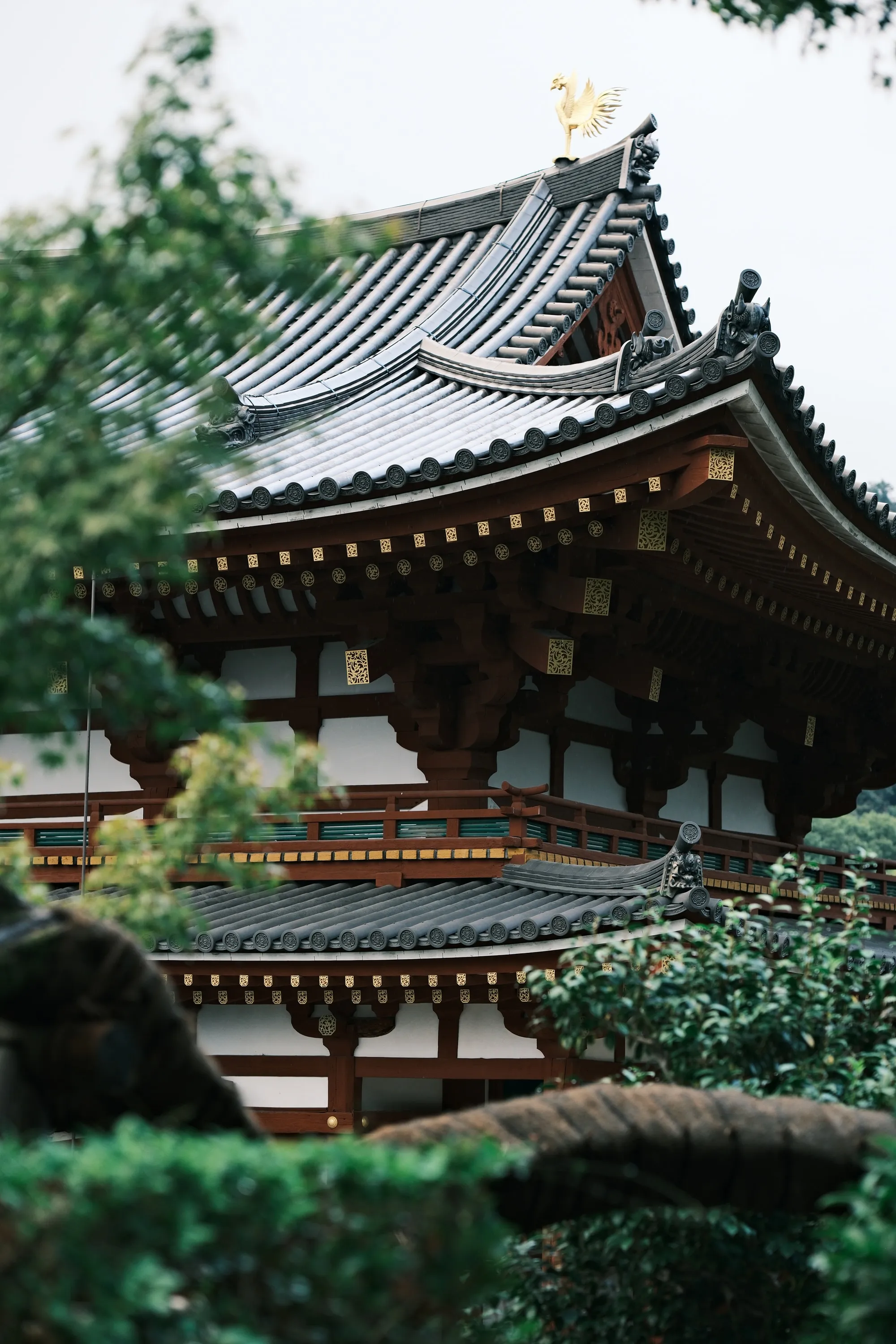 japan-2024, frame 155