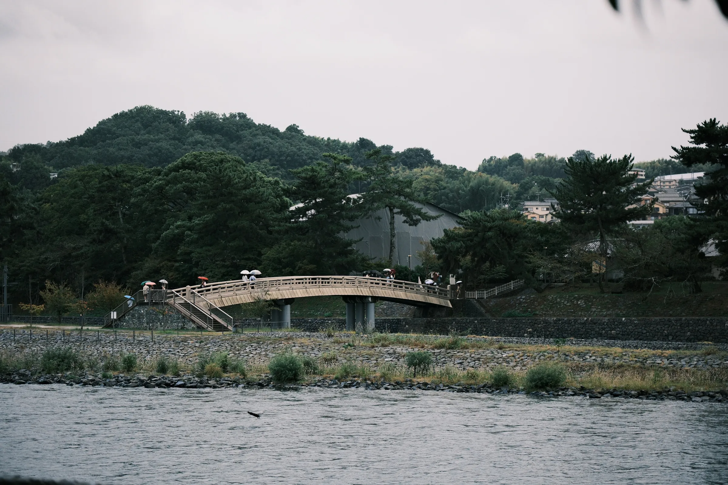 japan-2024, frame 160
