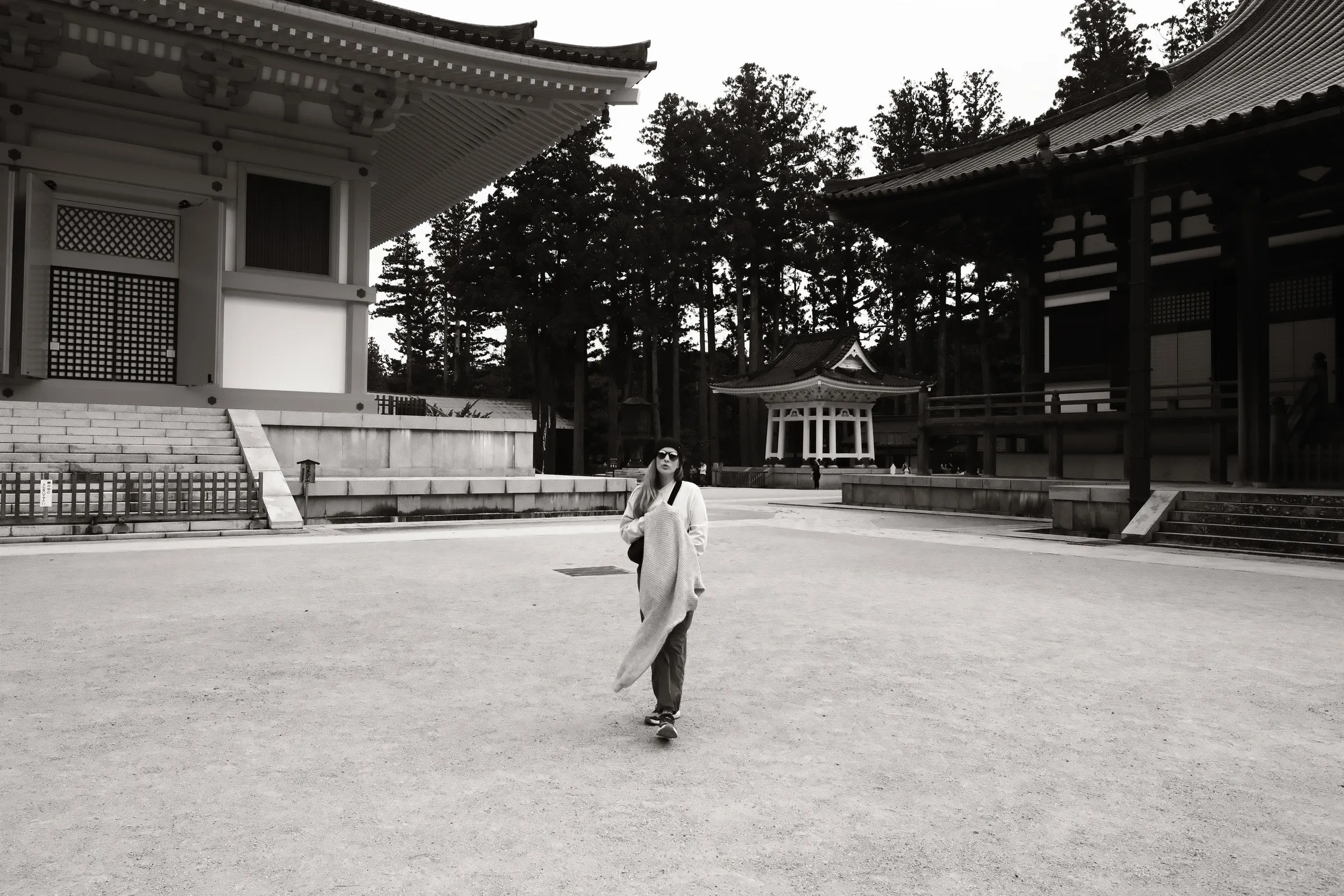 japan-2024, frame 228