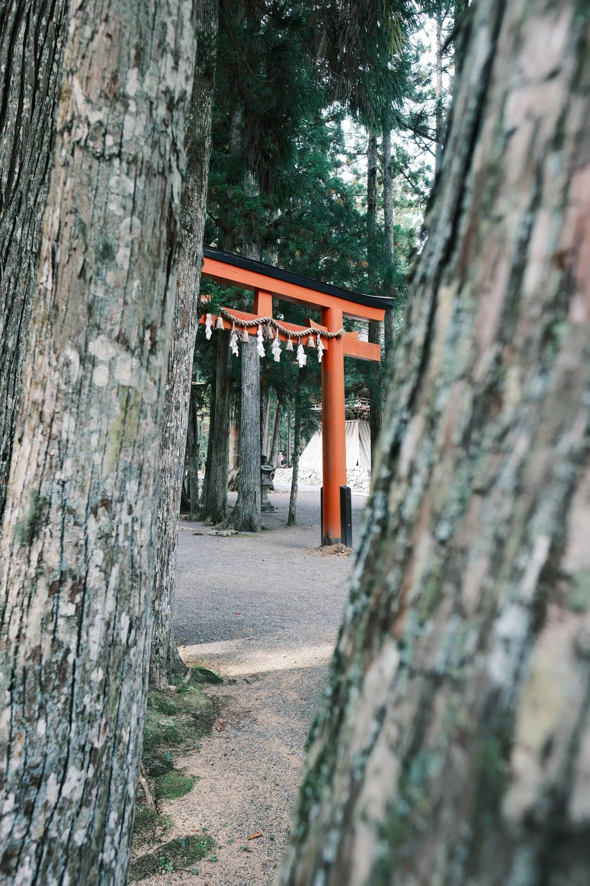 japan-2024, frame 229