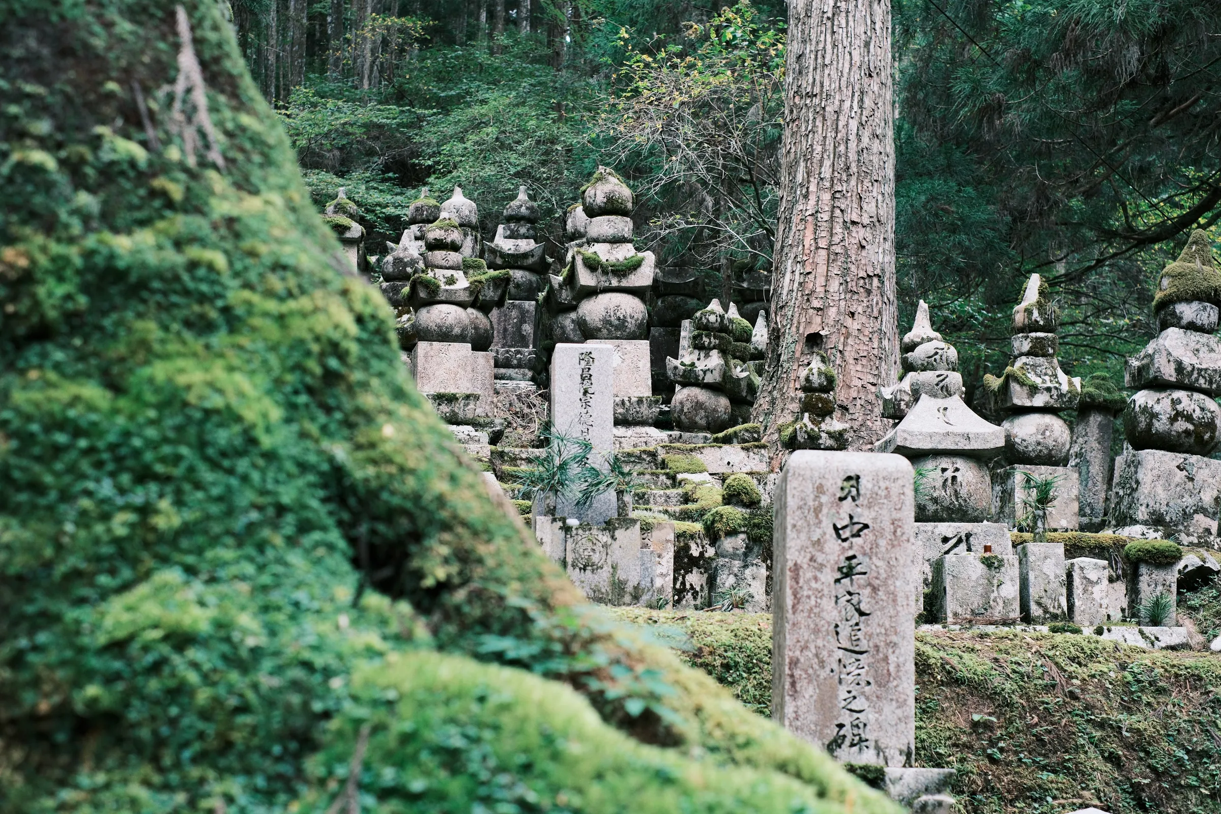japan-2024, frame 232