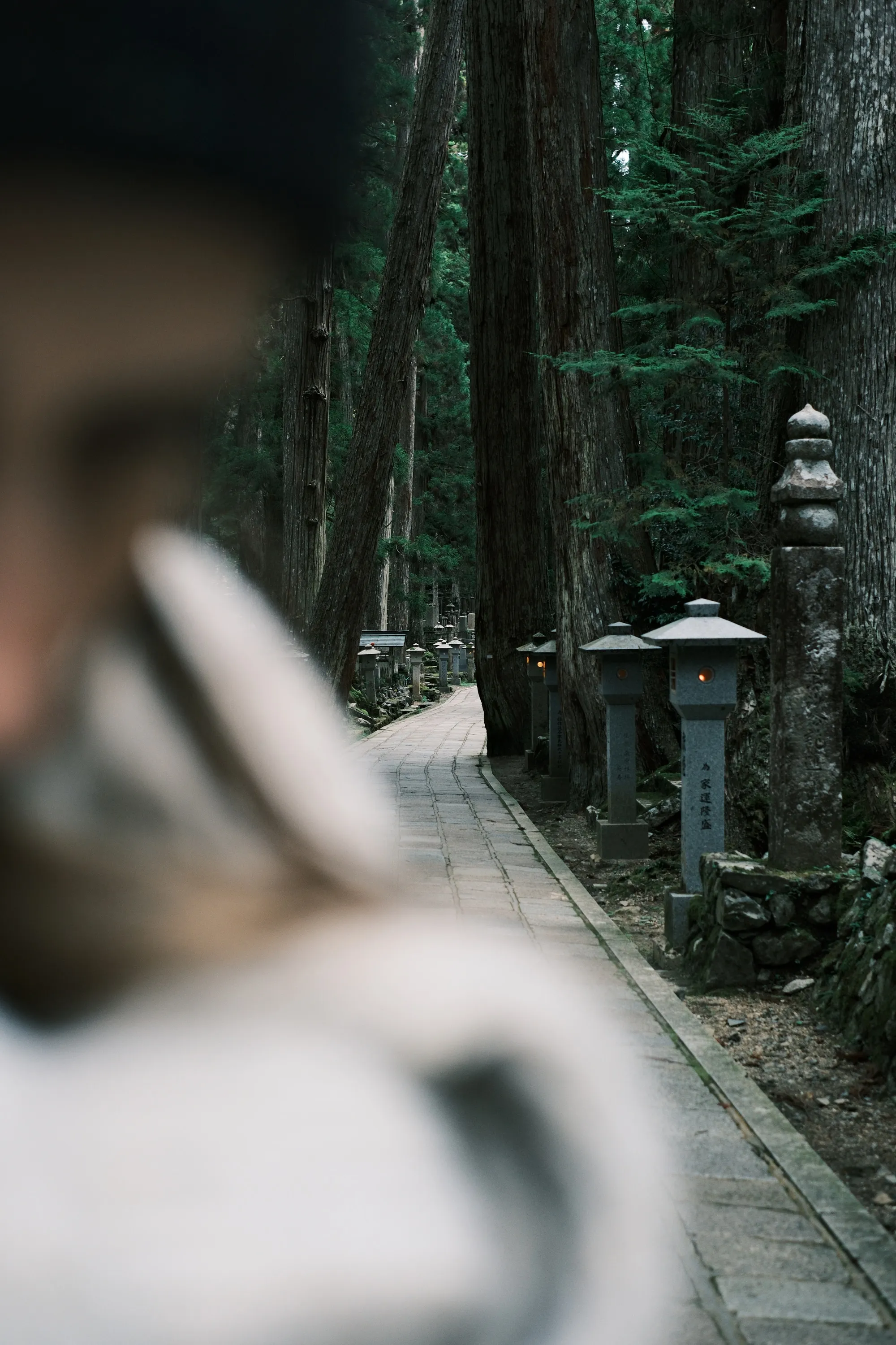 japan-2024, frame 234