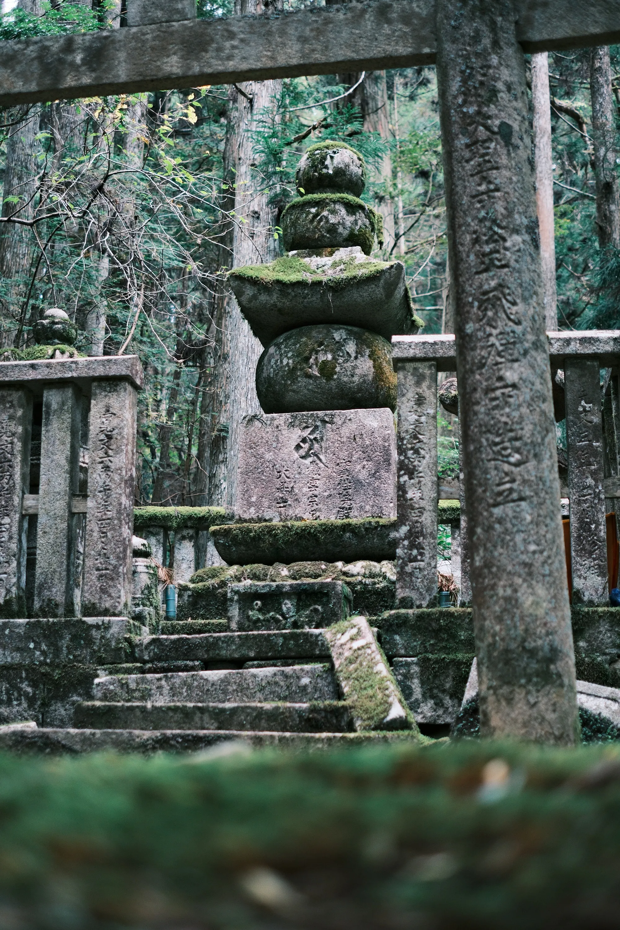 japan-2024, frame 235