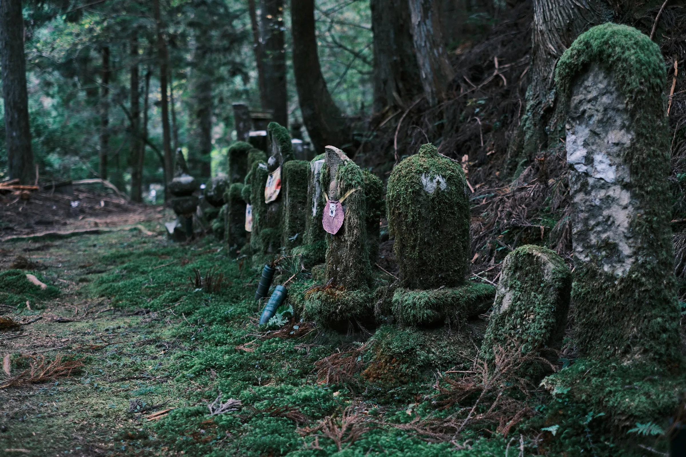 japan-2024, frame 237
