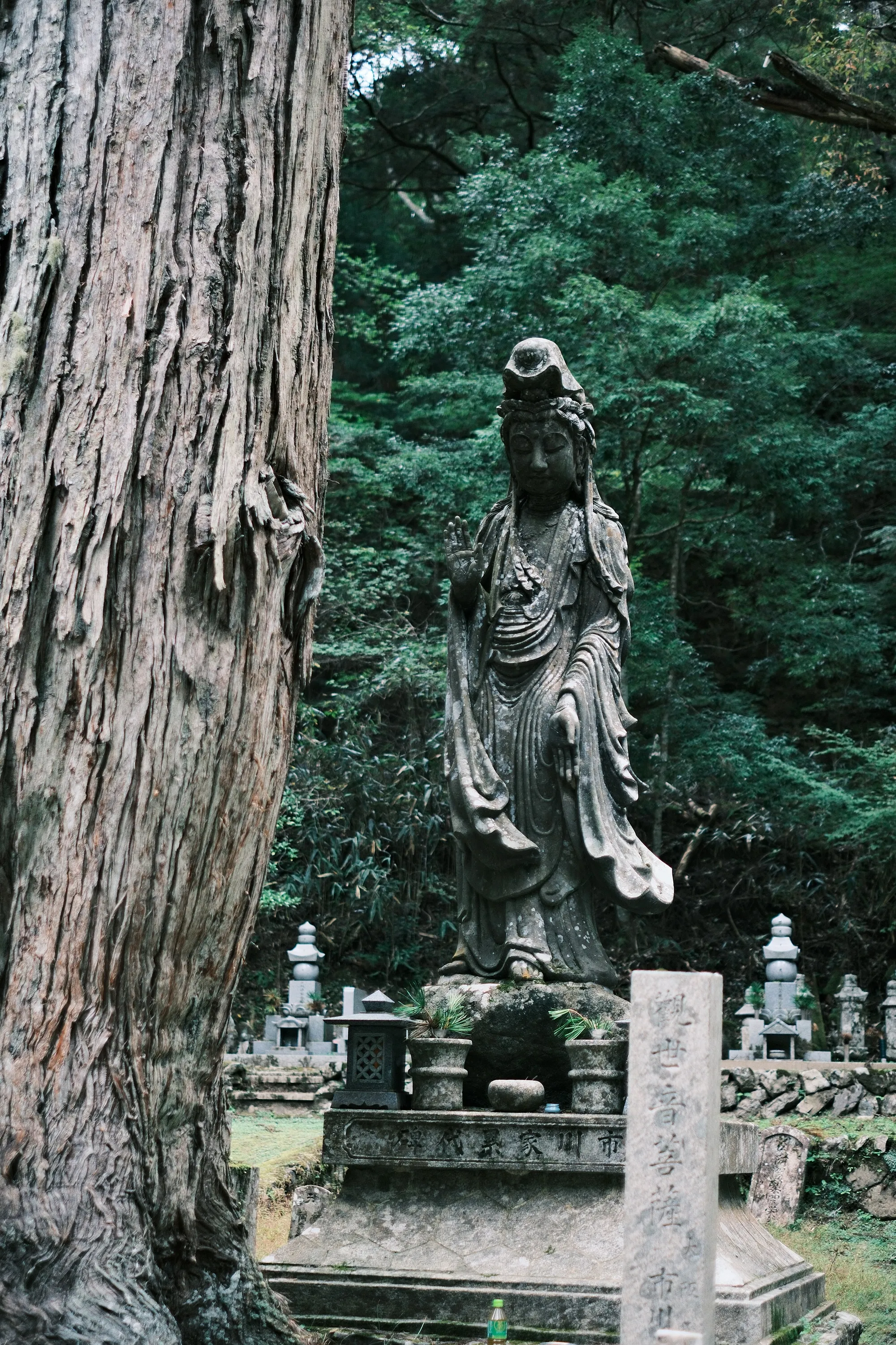 japan-2024, frame 238