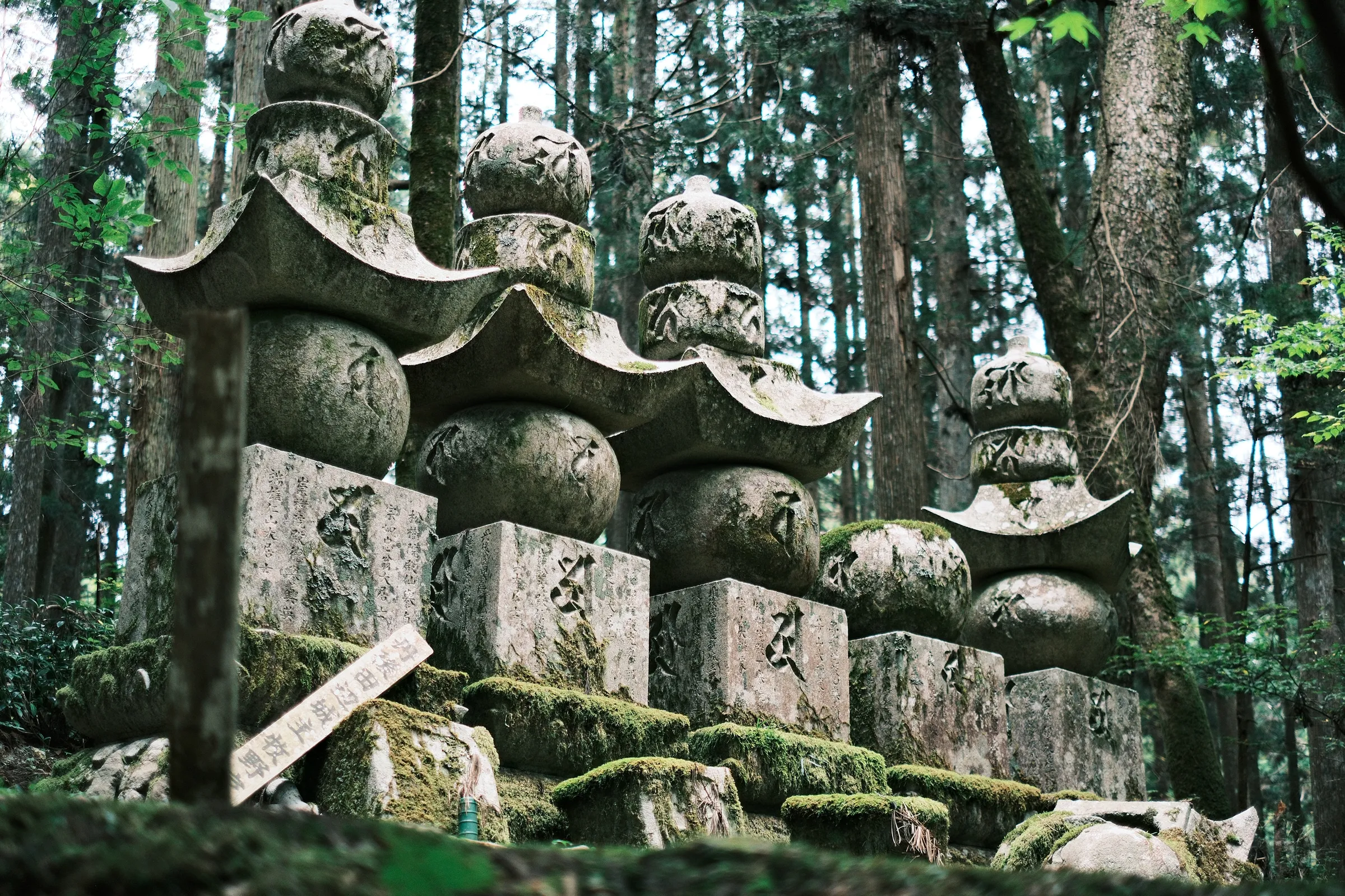 japan-2024, frame 239