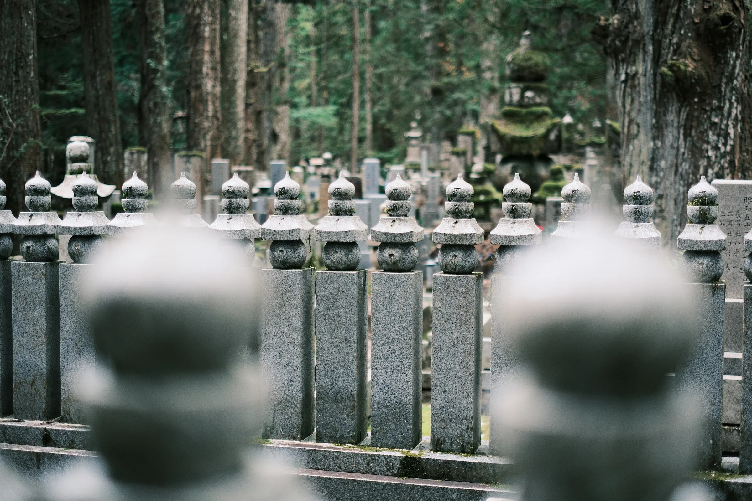 japan-2024, frame 240