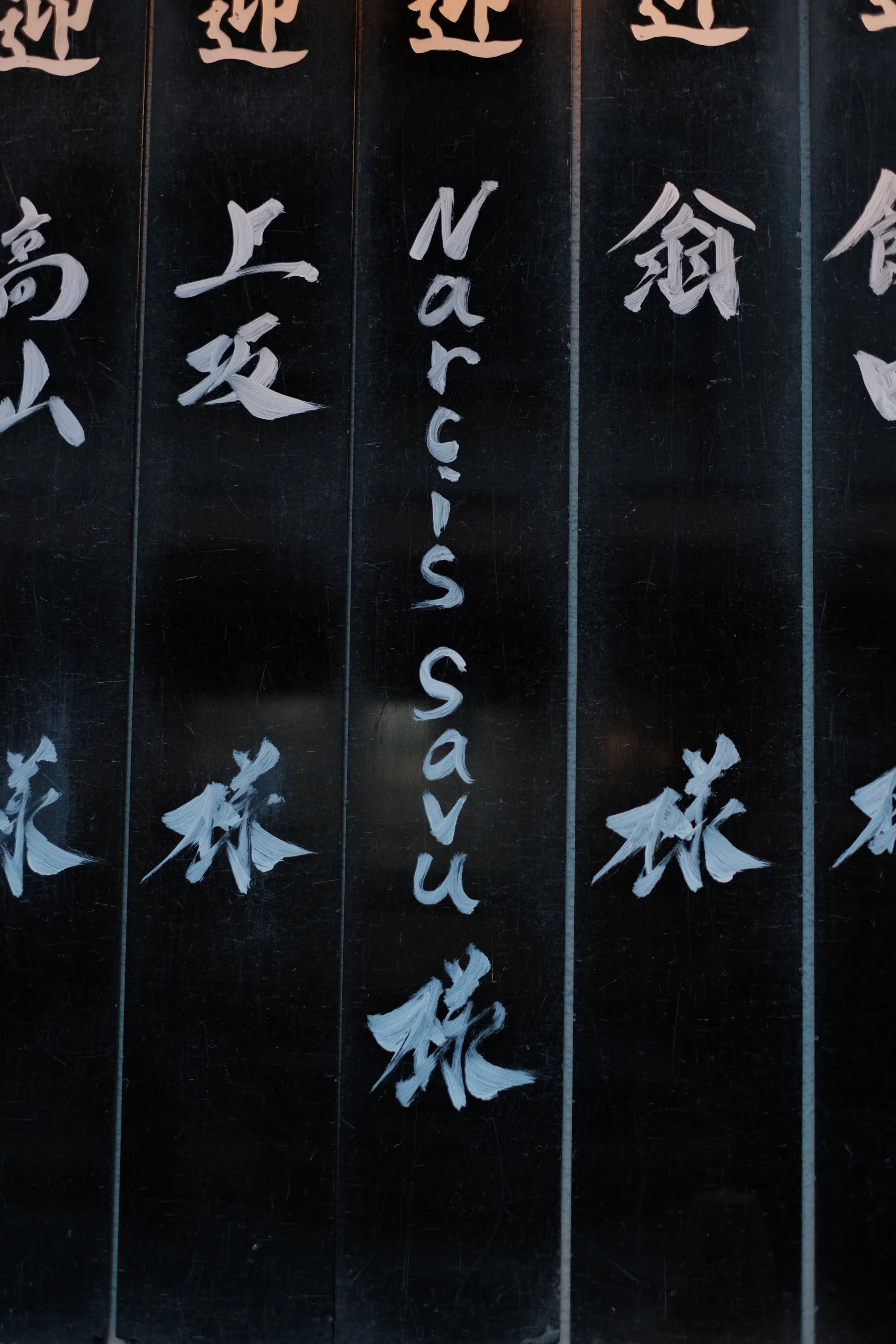 japan-2024, frame 241