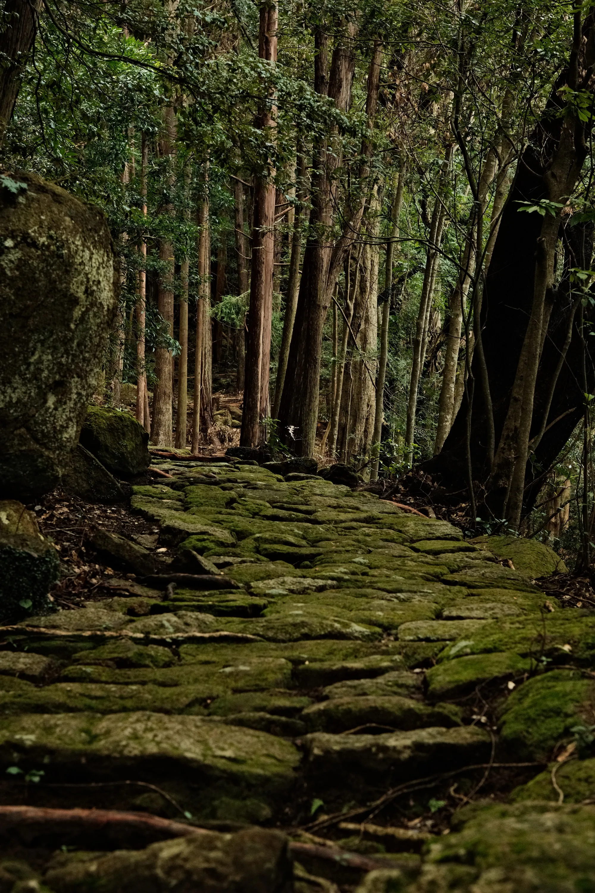 japan-2024, frame 262
