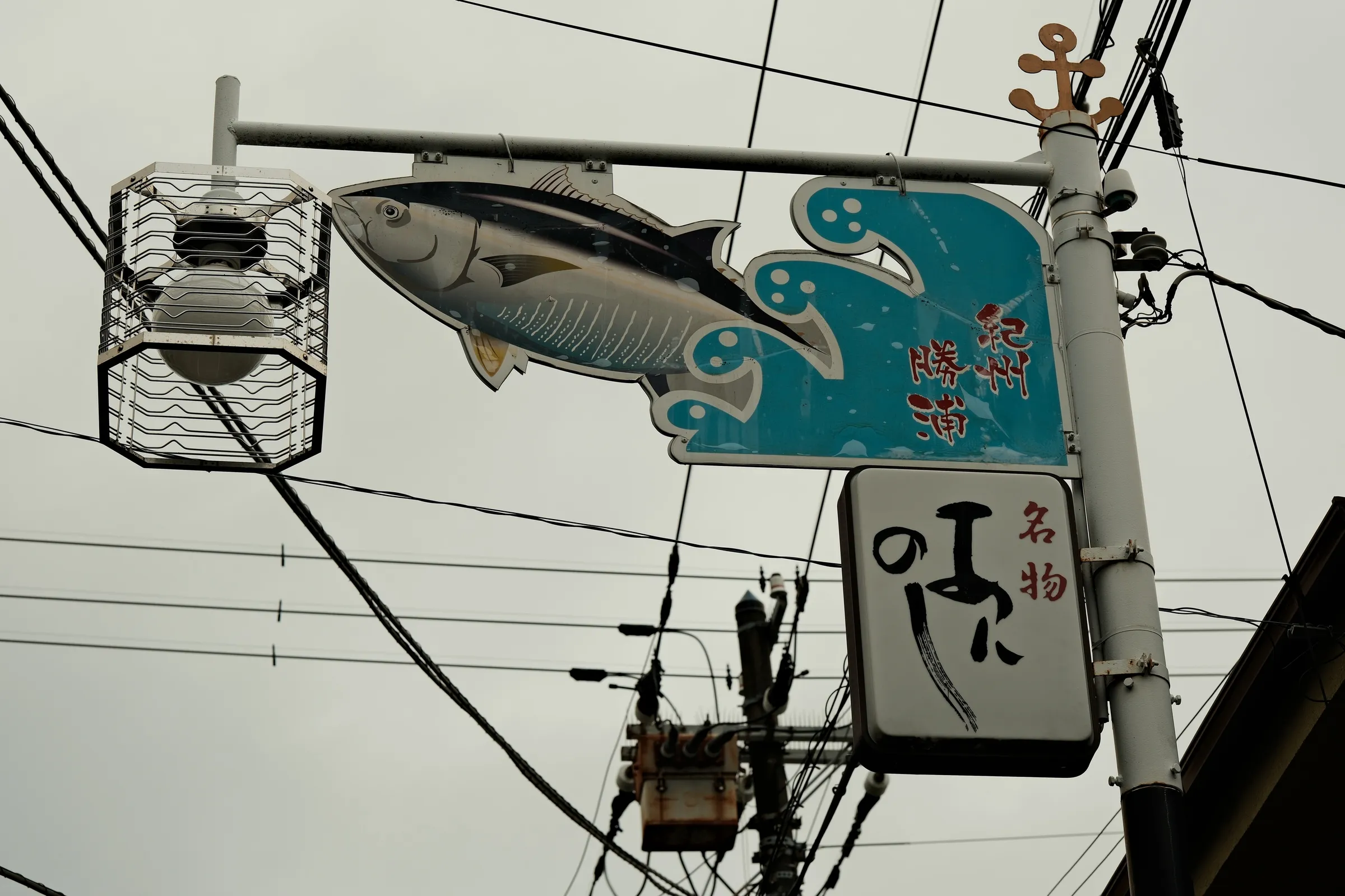 japan-2024, frame 268
