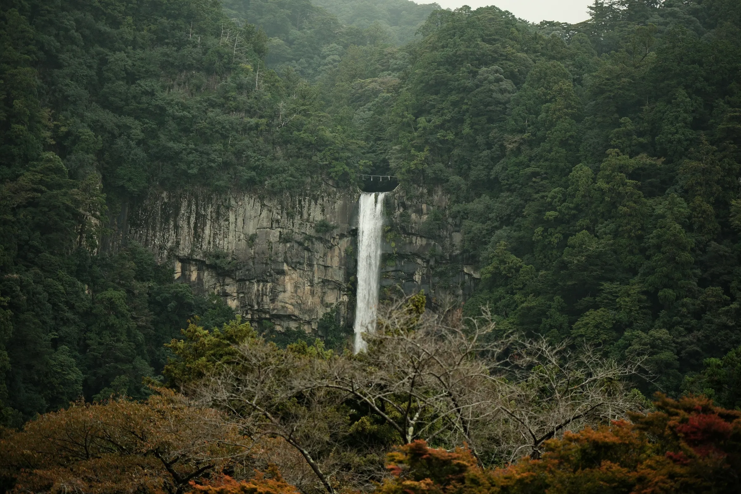 japan-2024, frame 270