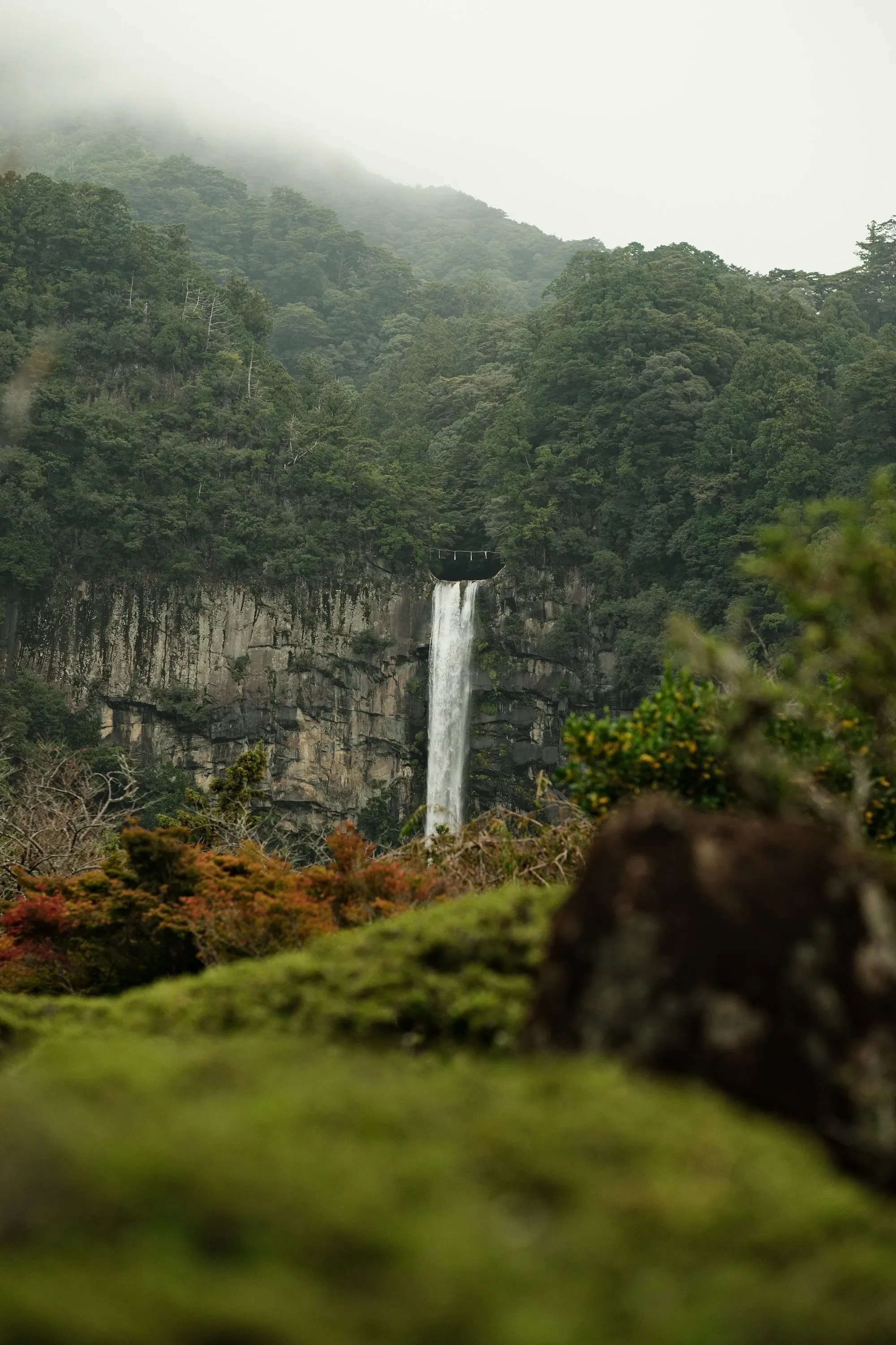 japan-2024, frame 271