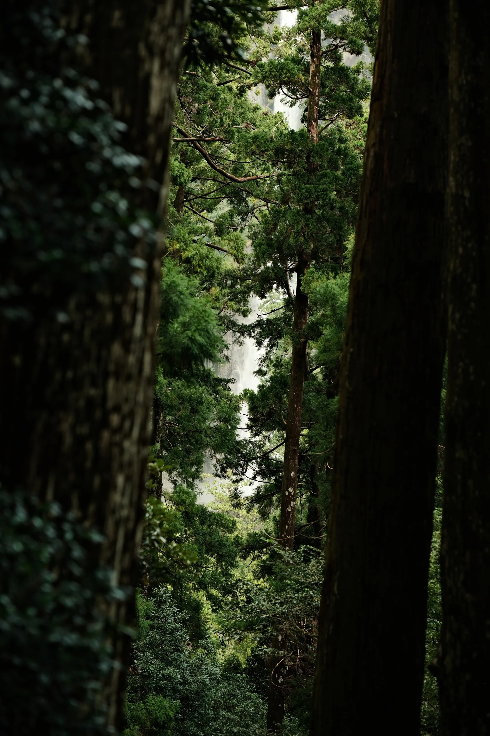 japan-2024, frame 272