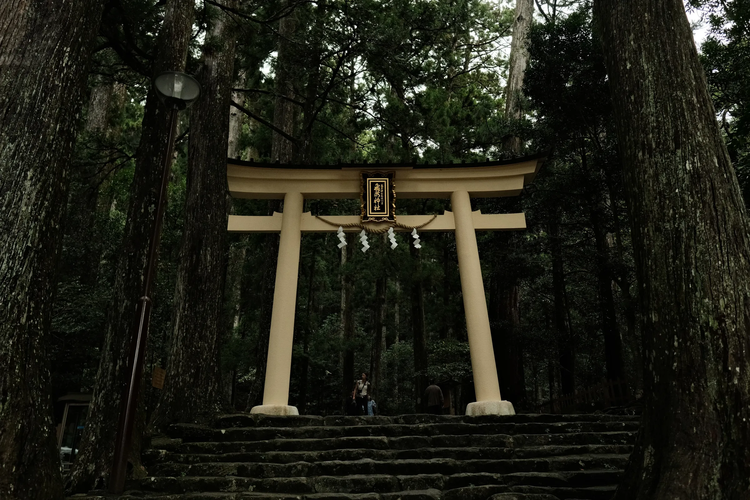 japan-2024, frame 274