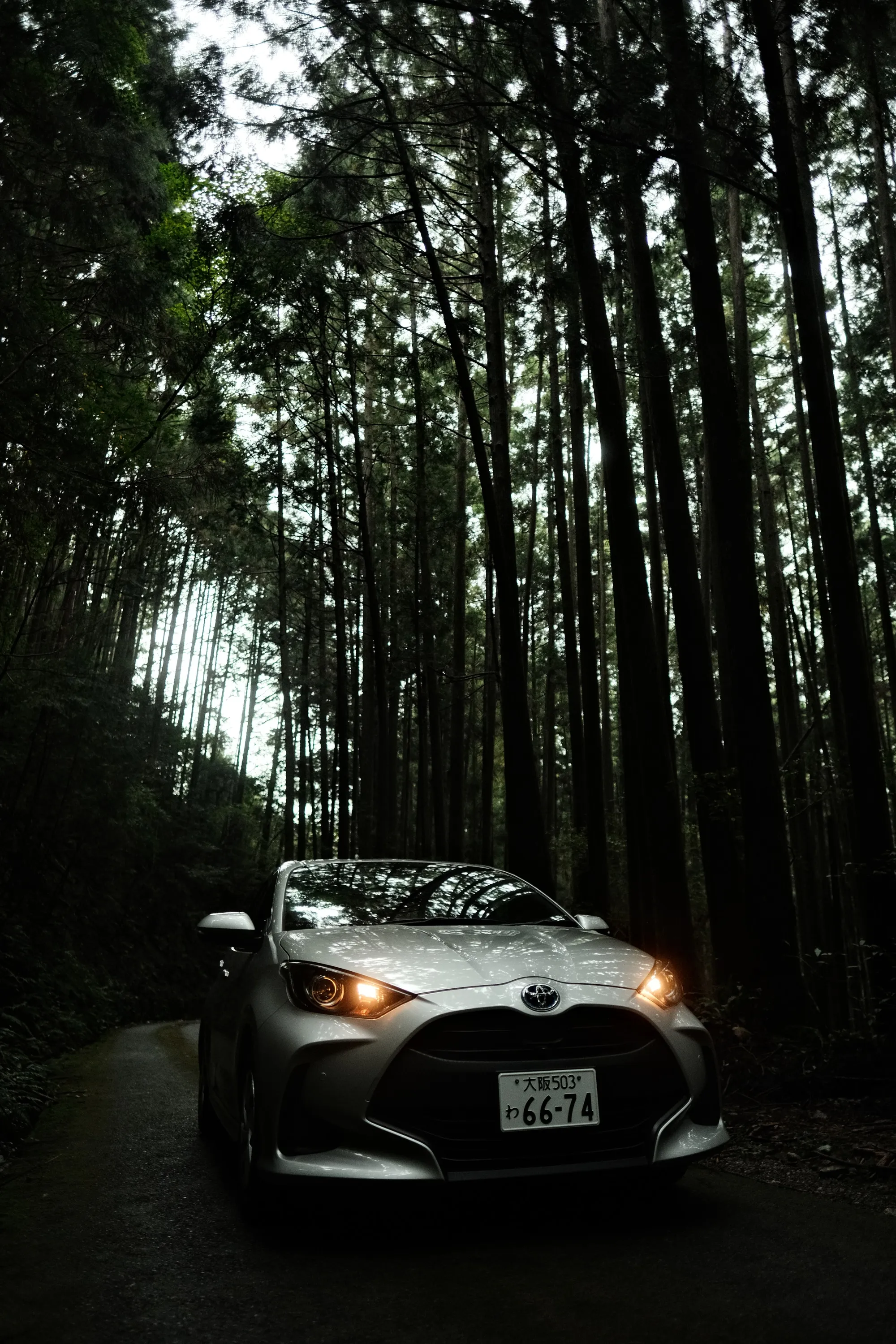 japan-2024, frame 277