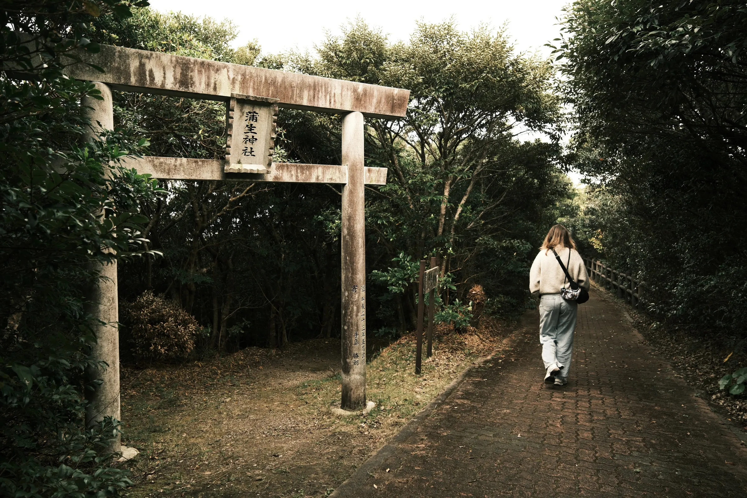 japan-2026, frame 270