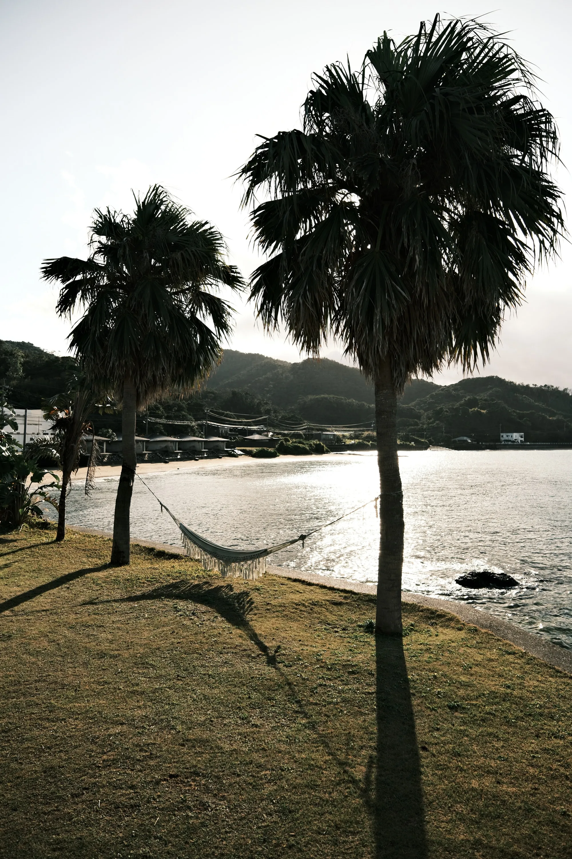 japan-2026, frame 293